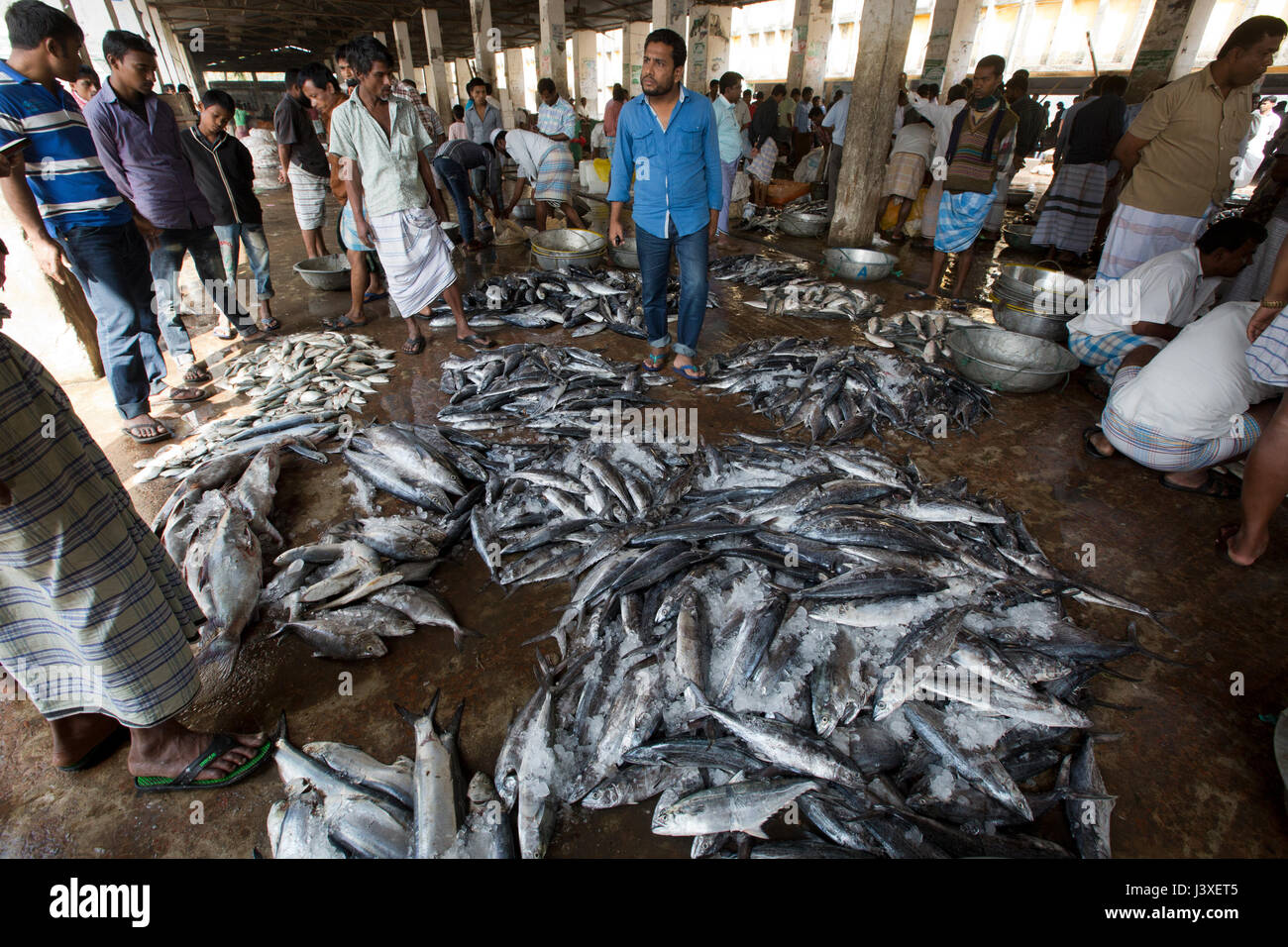 Comerciantes que venden a la pesca de peces marinos Ghat mercado. Cox's Bazar, Bangladesh. Foto de stock