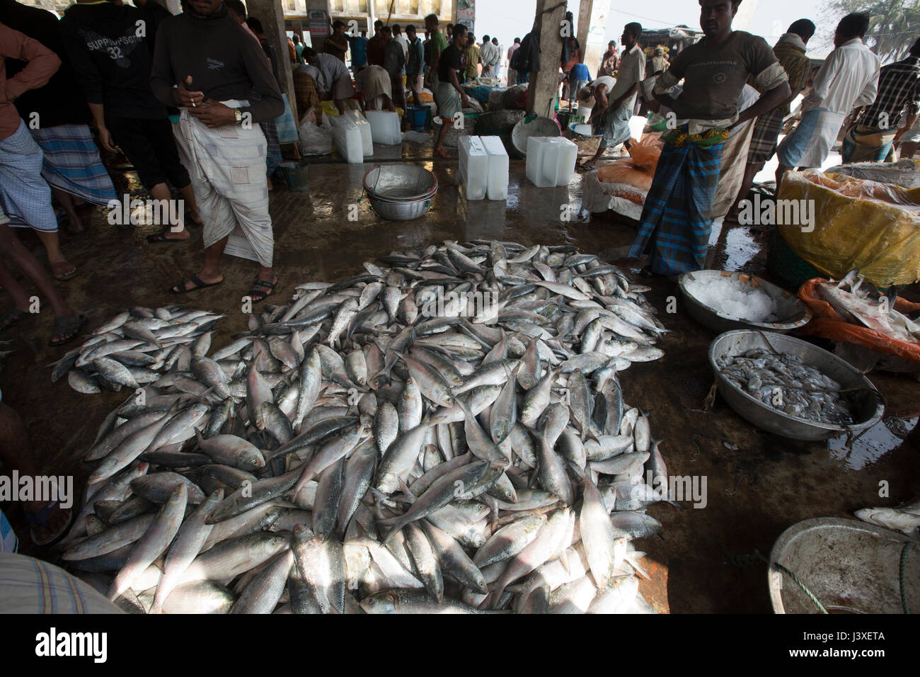 Comerciantes que venden a la pesca de peces marinos Ghat mercado. Cox's Bazar, Bangladesh. Foto de stock