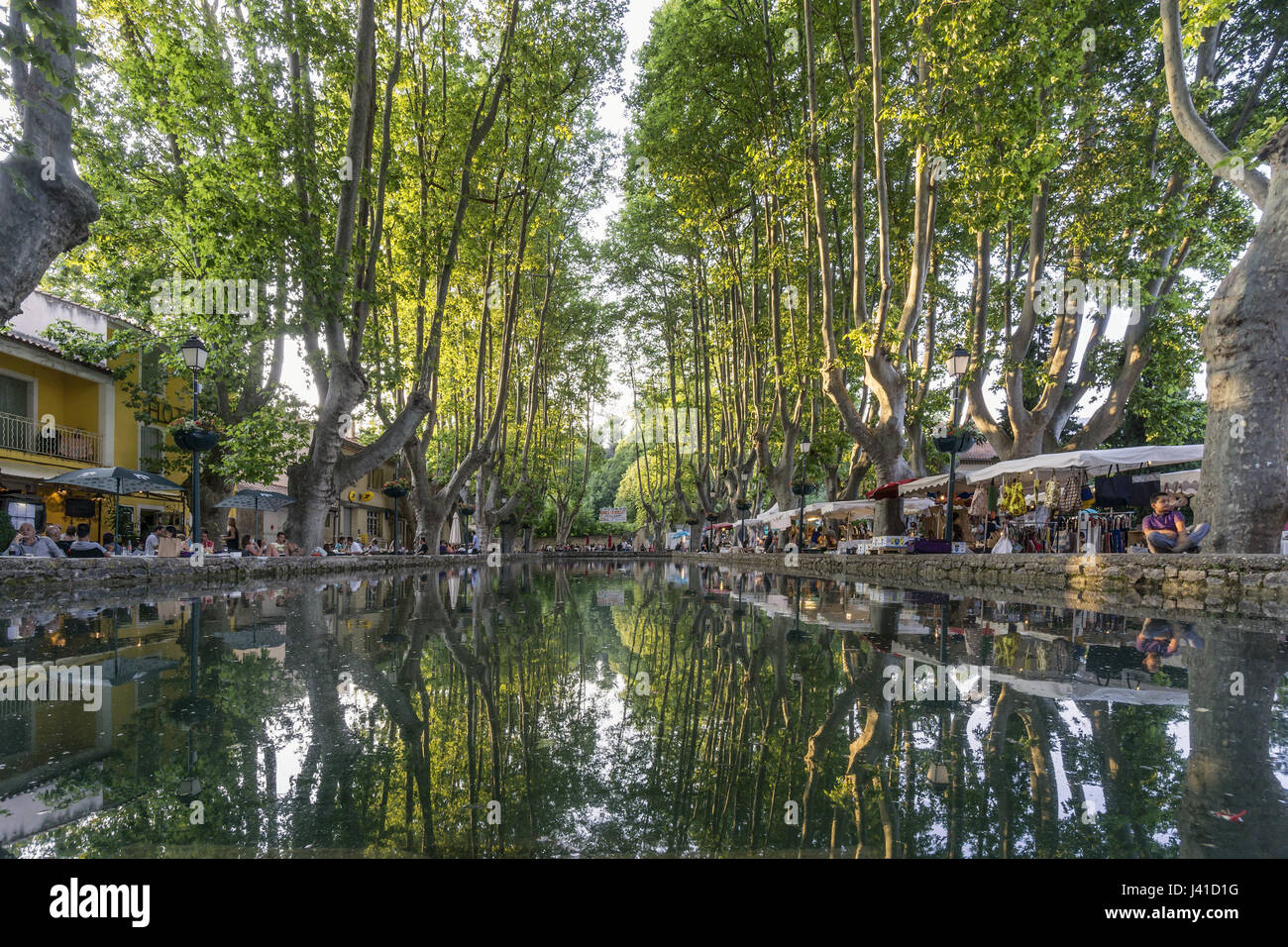 El Etang, estanque con árboles Platane, Cucuron, Provenciales Village, departamento de Vaucluse, Lubern, Provence-Alpes-Côte d'Azur, Francia Foto de stock