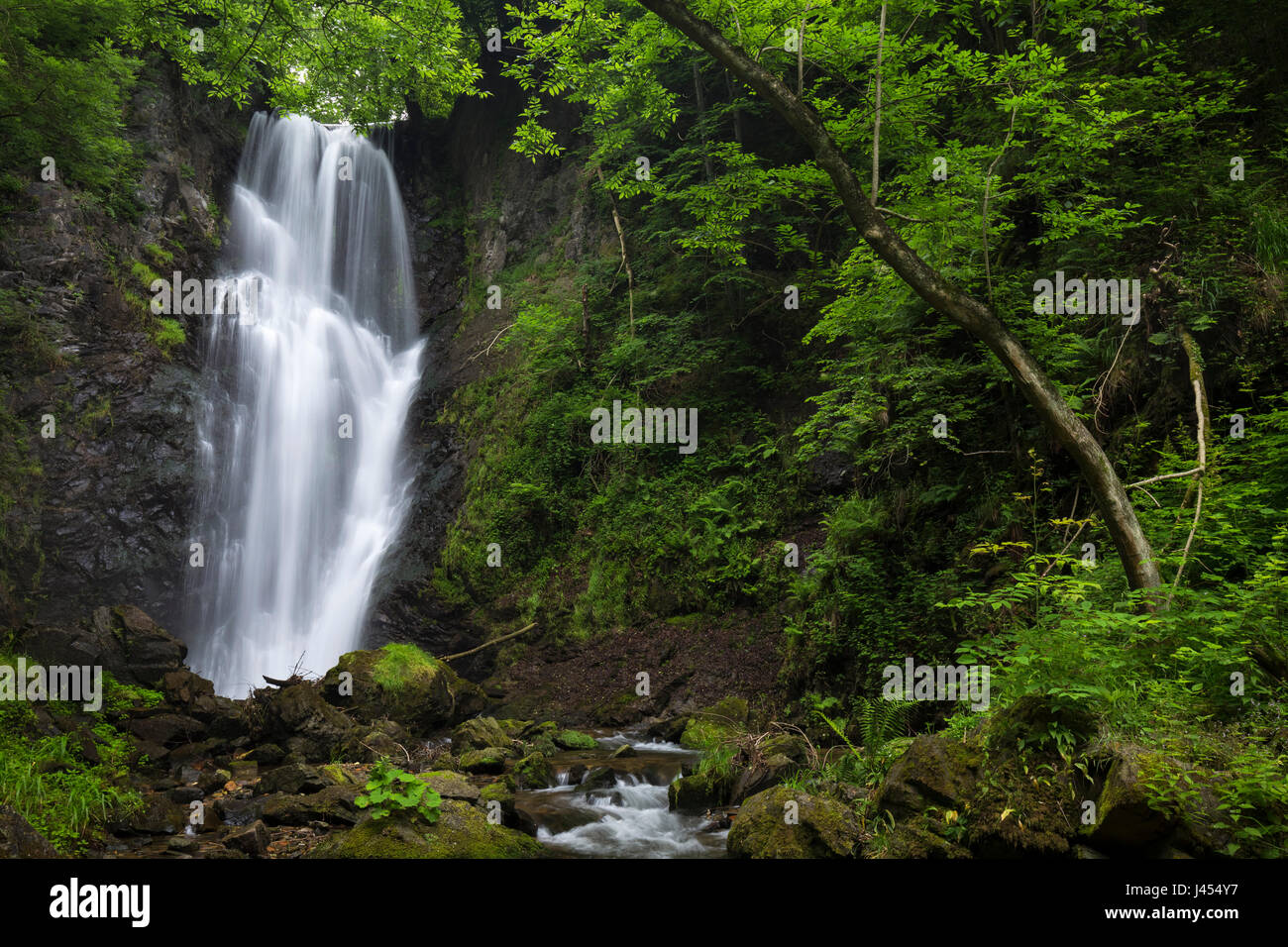 La cascada llamada Pesegh o Pesech, creado por el torrent en Brinzio Valmolina, Valganna, Parco del Campo dei Fiori, distrito de Varese, Lombardía, Foto de stock