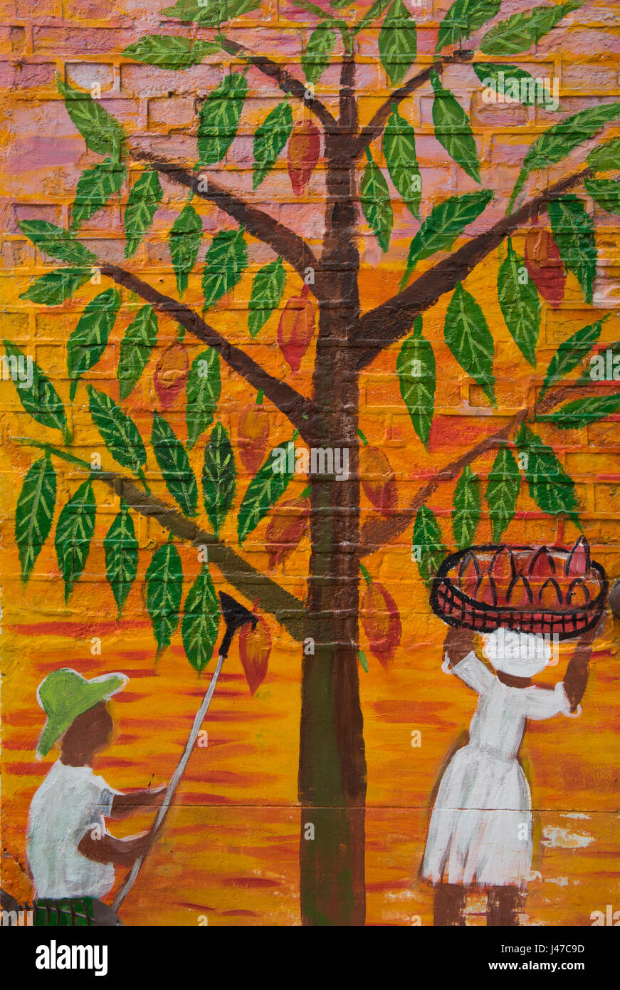 Una pintura mural mostrando la gente cosechando las mazorcas de cacao desde un árbol Theobroma cacao fuera de la Casa de Chocolate, tienda de venta de chocolates en St. George's, Foto de stock