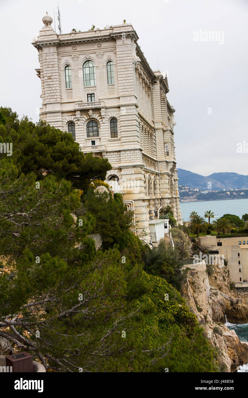 Las masivas de estilo renacimiento barroco Museo Oceanográfico y Acuario fue fundada en 1910 por el Príncipe Alberto de Mónaco. El museo ofrece exposiciones y Foto de stock