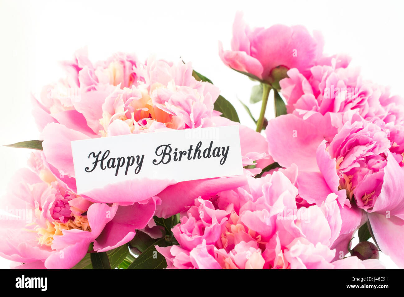 Feliz Cumpleaños Tarjeta con bouquet de Peonías Rosas sobre fondo blanco  Fotografía de stock - Alamy