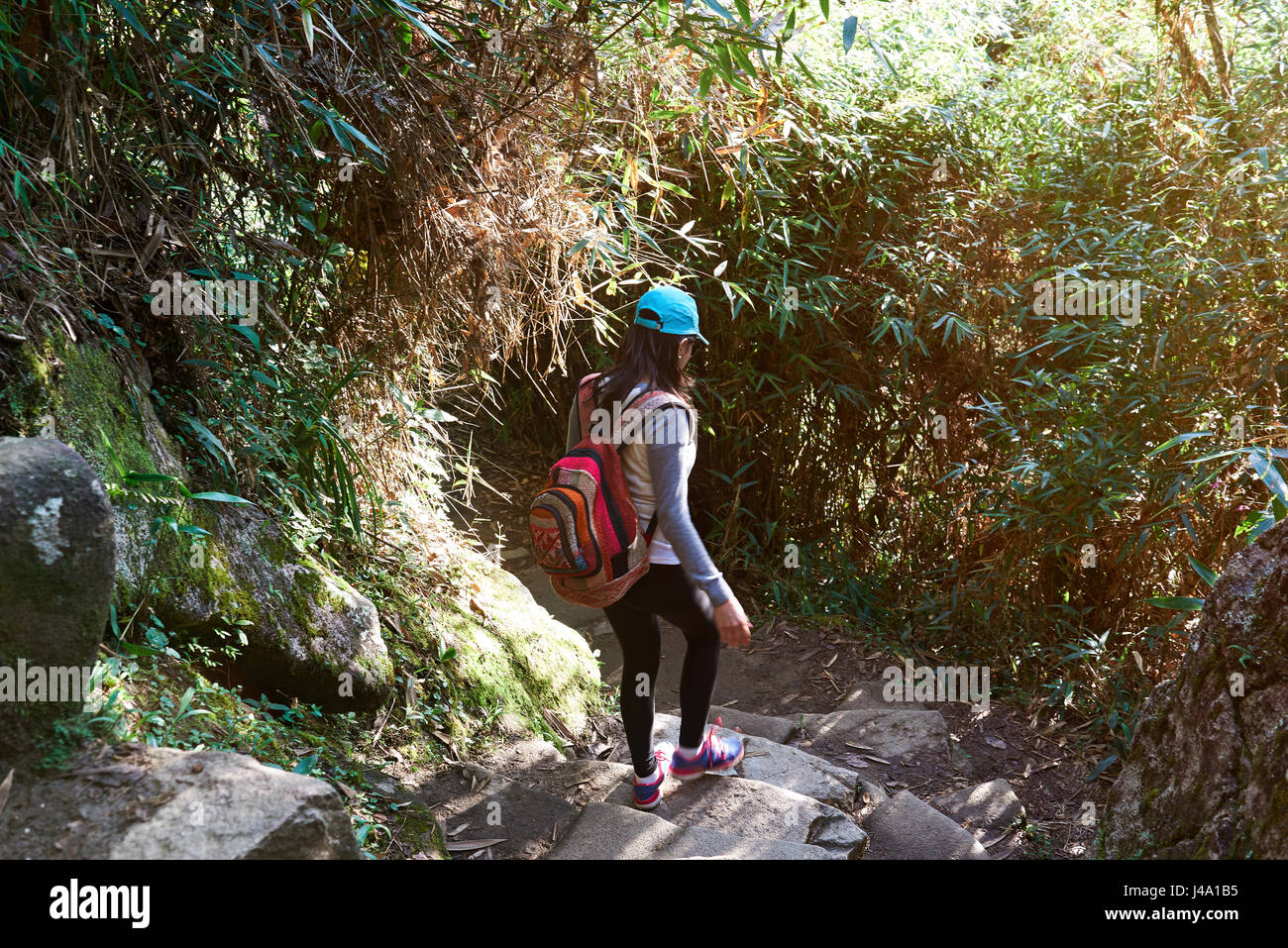 Viajero caminar en el camino de piedra en el bosque. Mujer haciendo trekking en Perú Foto de stock