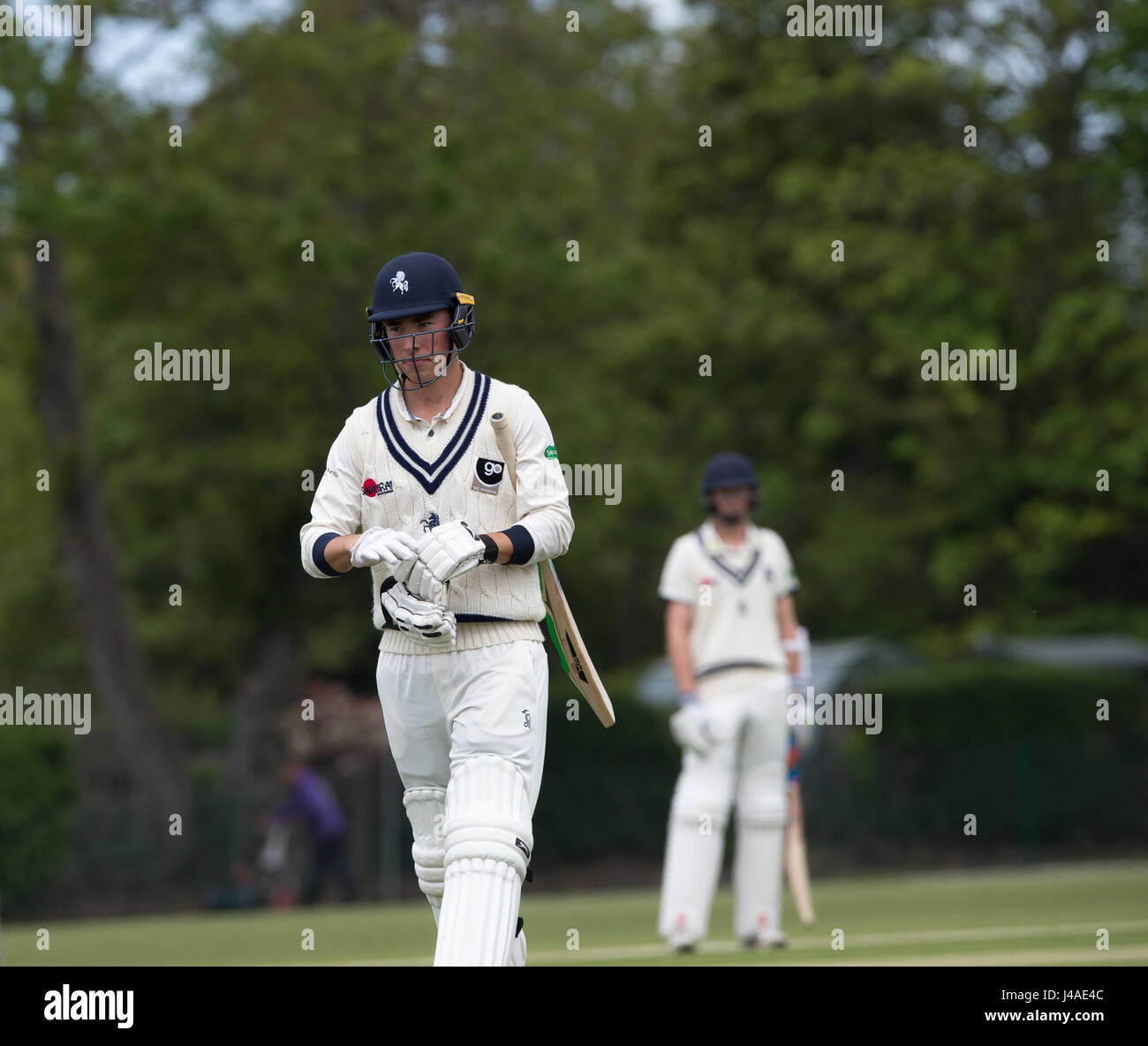 Cricket en Polo Farm, Canterbury, Kent. Un bateador sale después de ser despedido Foto de stock