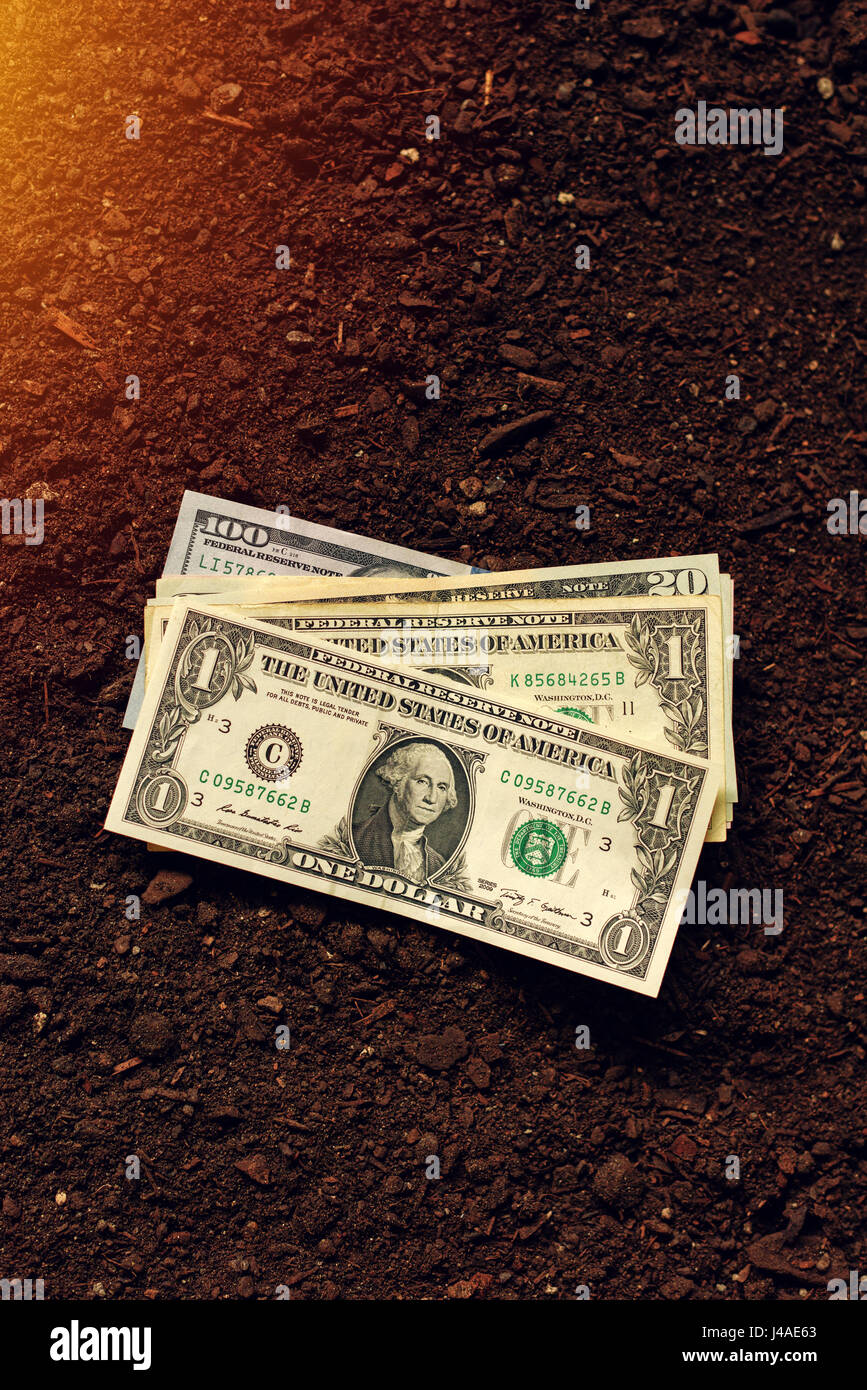 Billetes de dólar EE.UU. dinero en suelo fértil tierra, haciendo que los ingresos en la agricultura y la actividad agrícola como de cultivos Foto de stock