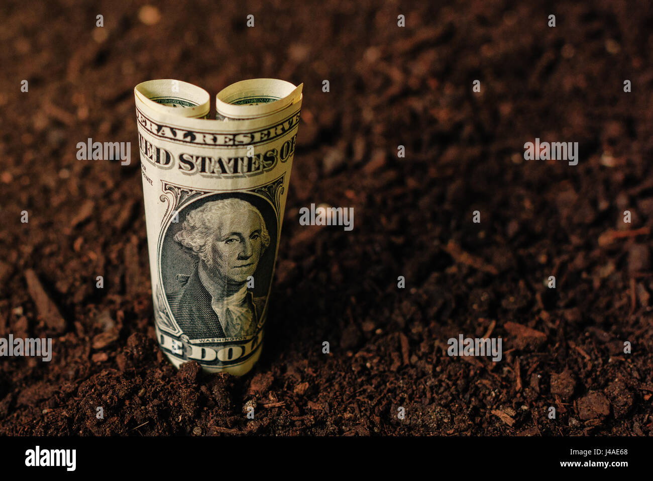 Billetes de dólar EE.UU. dinero en suelo fértil tierra, haciendo que los ingresos en la agricultura y la actividad agrícola como de cultivos Foto de stock