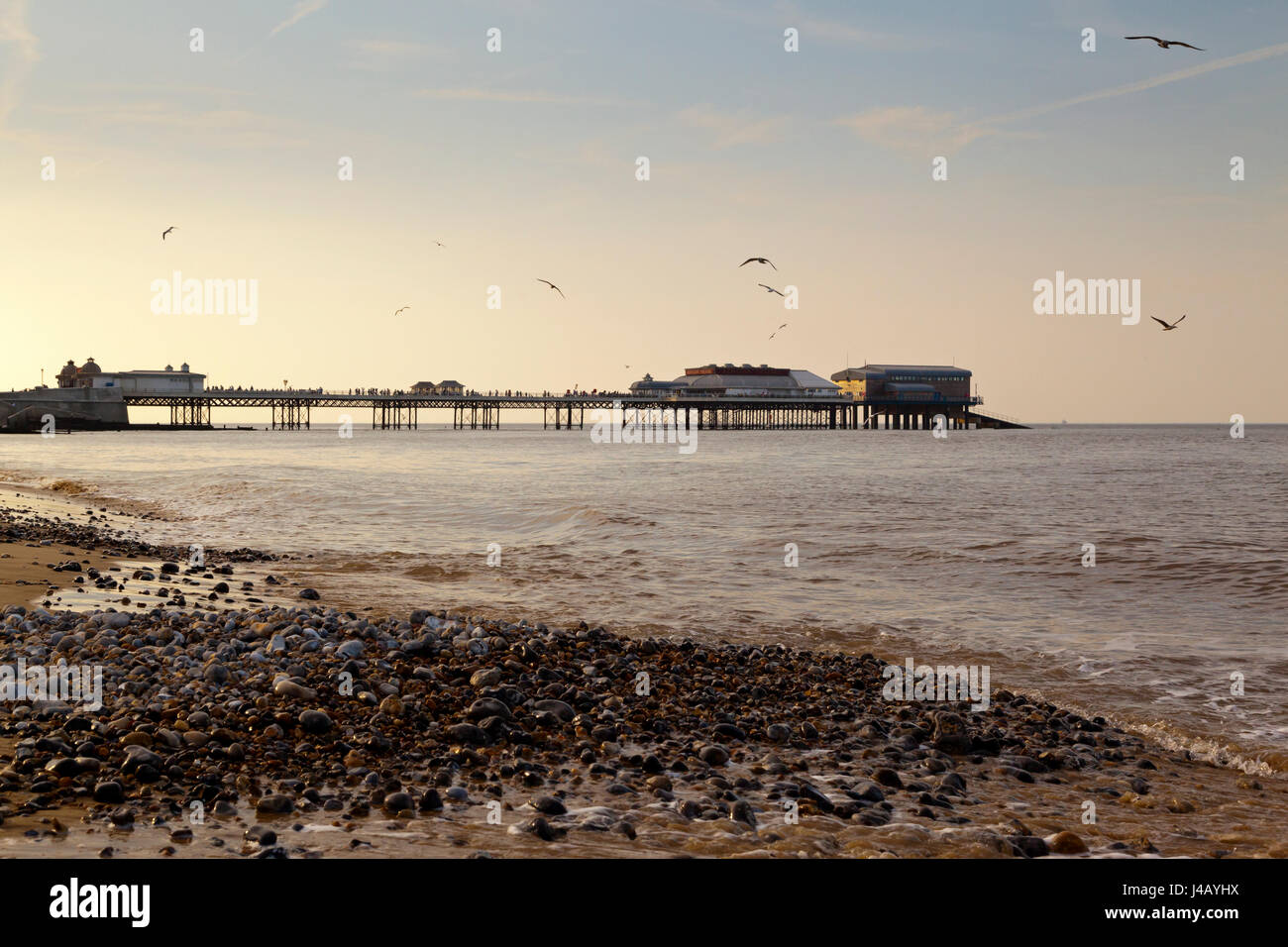 Cromer Pier en el norte de la costa de Norfolk Inglaterra construido en 1902 Foto de stock