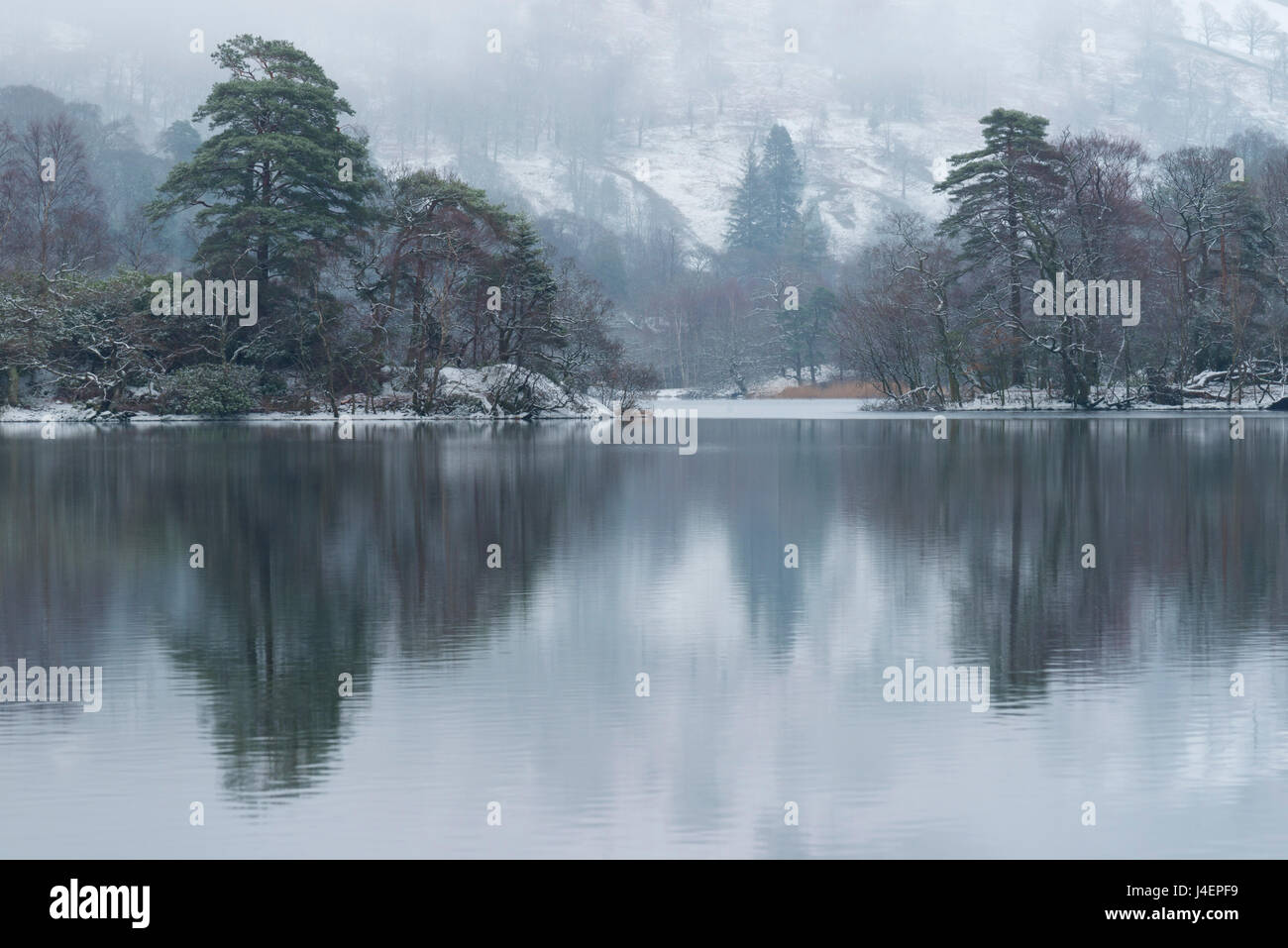 Una escena de invierno en Rydal Water, Lake District National Park, Cumbria, Inglaterra, Reino Unido, Europa Foto de stock