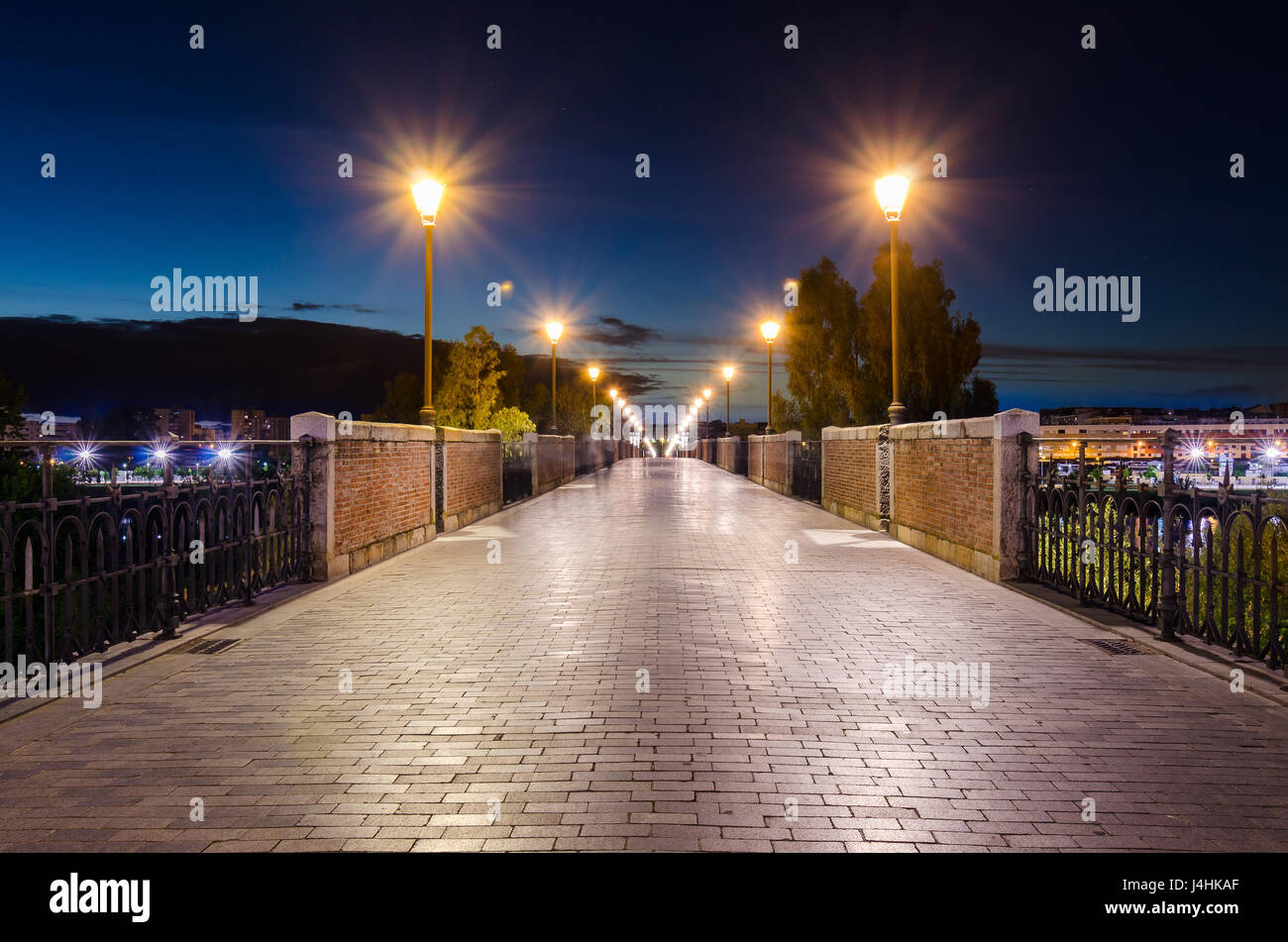 Vista nocturna de Las Palmeras Puente sobre el Guadiana en Badajoz. Foto de stock