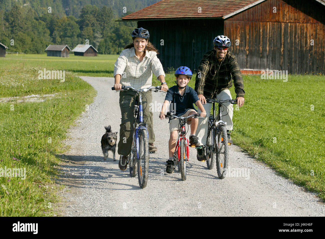 Los padres, el niño, la conducción de bicicletas, perro, correr a lo largo  de la familia, hijo, muchacho, bicicletas de montaña, bicicletas,  excursiones en bicicleta, bicicleta, excursiones, paseos en bicicleta,  juntos, felizmente,