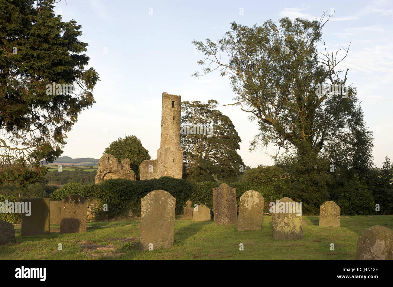 Irlanda Leinster, Condado de Wexford, helechos, Saint Mary's Abbey, Foto de stock
