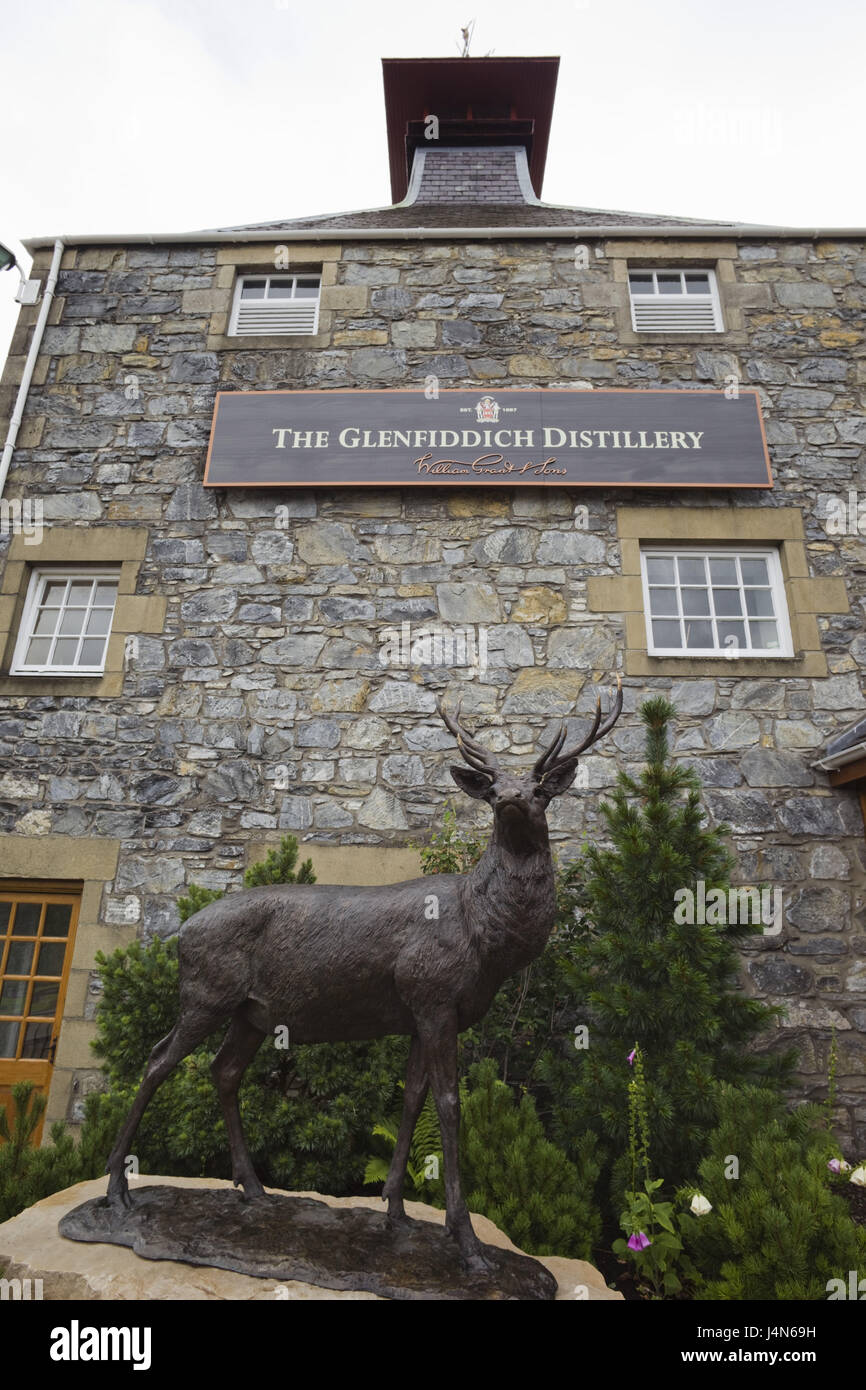 Gran Bretaña, Escocia, Dufftown, whisky Glenfiddich Distillery, Foto de stock
