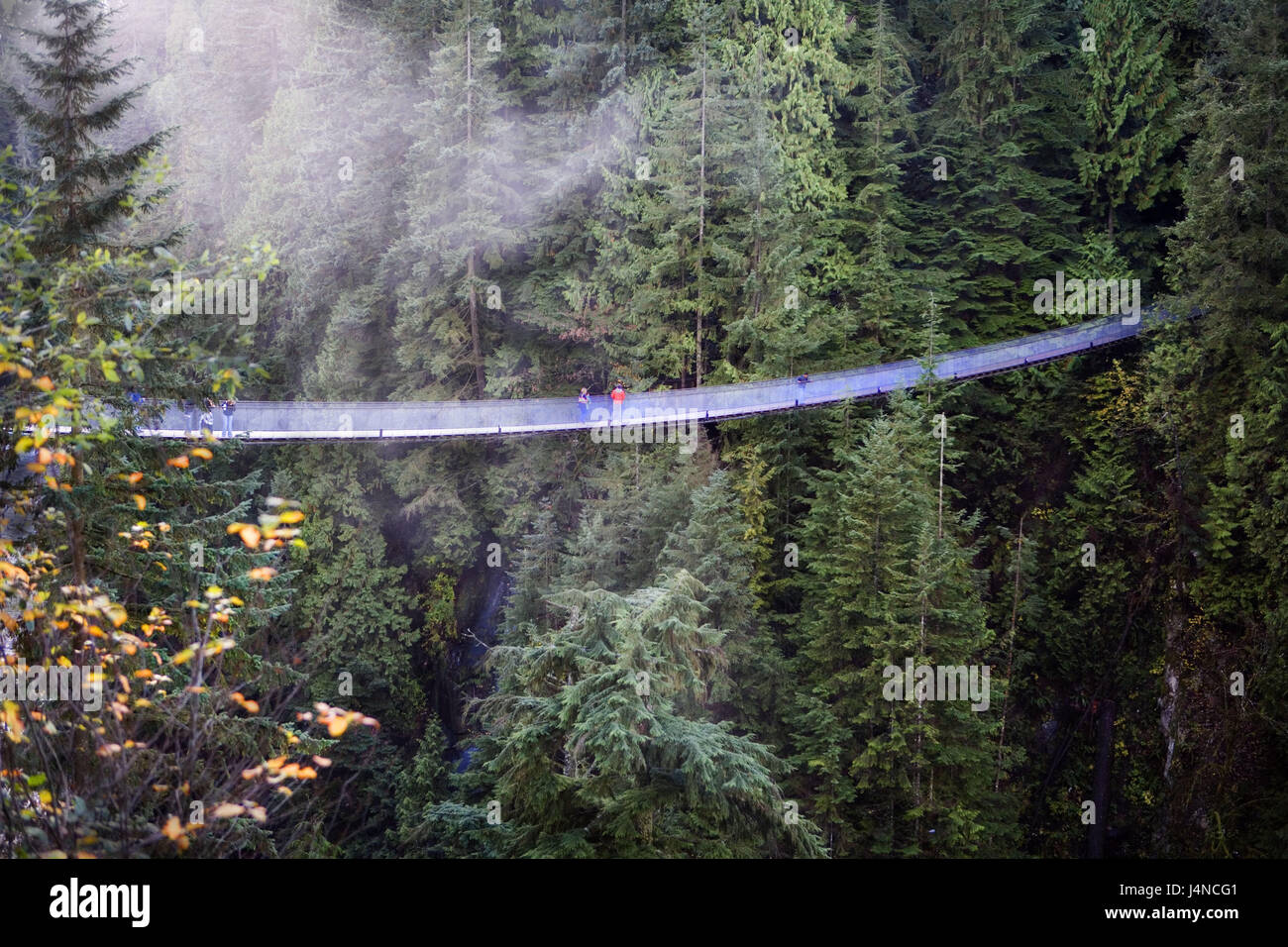 Canadá, Columbia Británica, Vancouver, margen barrenador Bridge, turista, América del Norte, la madera, los árboles, el puente, el puente colgante, el turismo, la persona, la naturaleza, Foto de stock