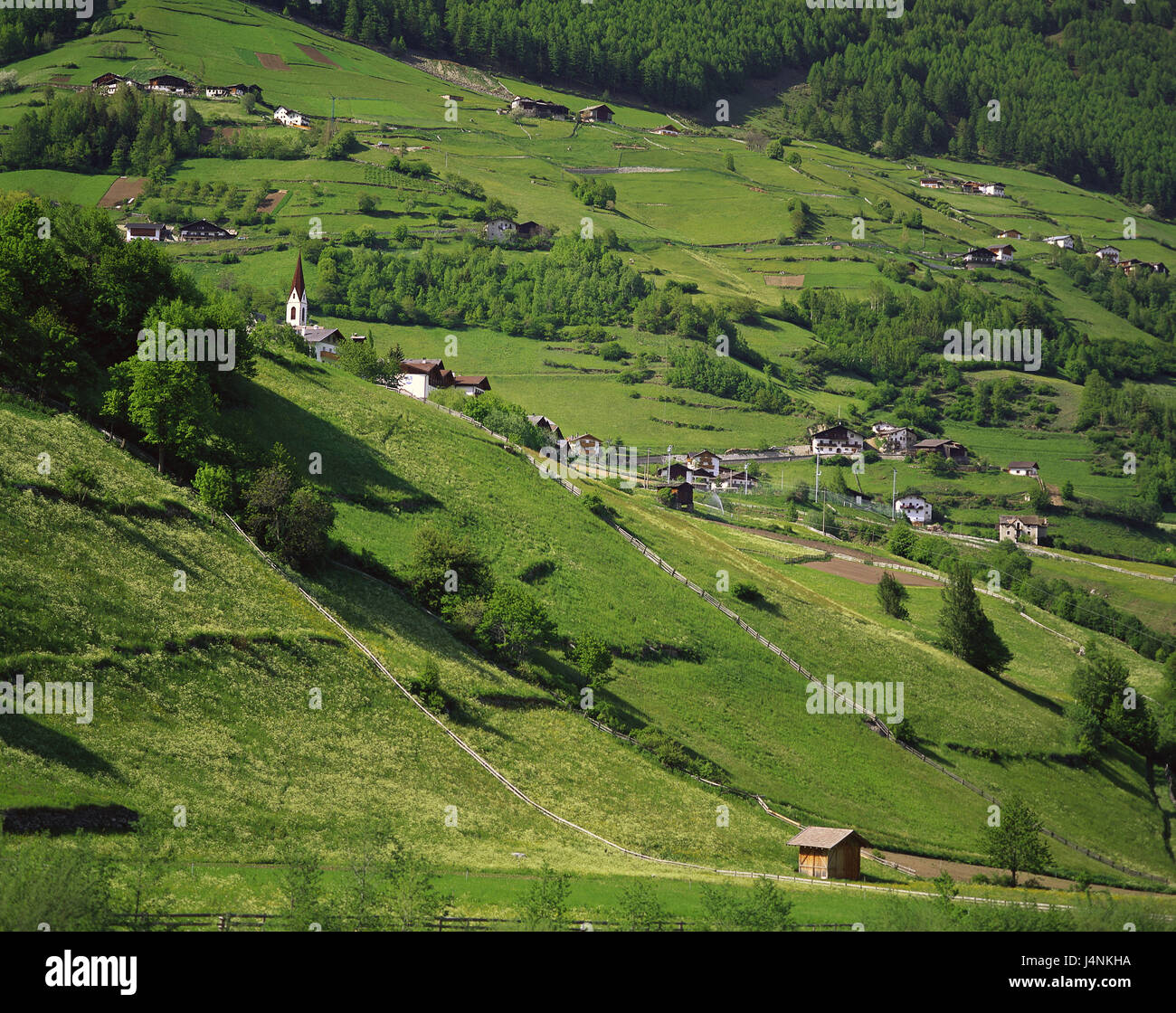 Italia, el Tirol meridional, Martelltal, ver paisajes, campos, prados, lugares, lugares, pueblos, iglesias, casas, árboles, bosques, verde Foto de stock