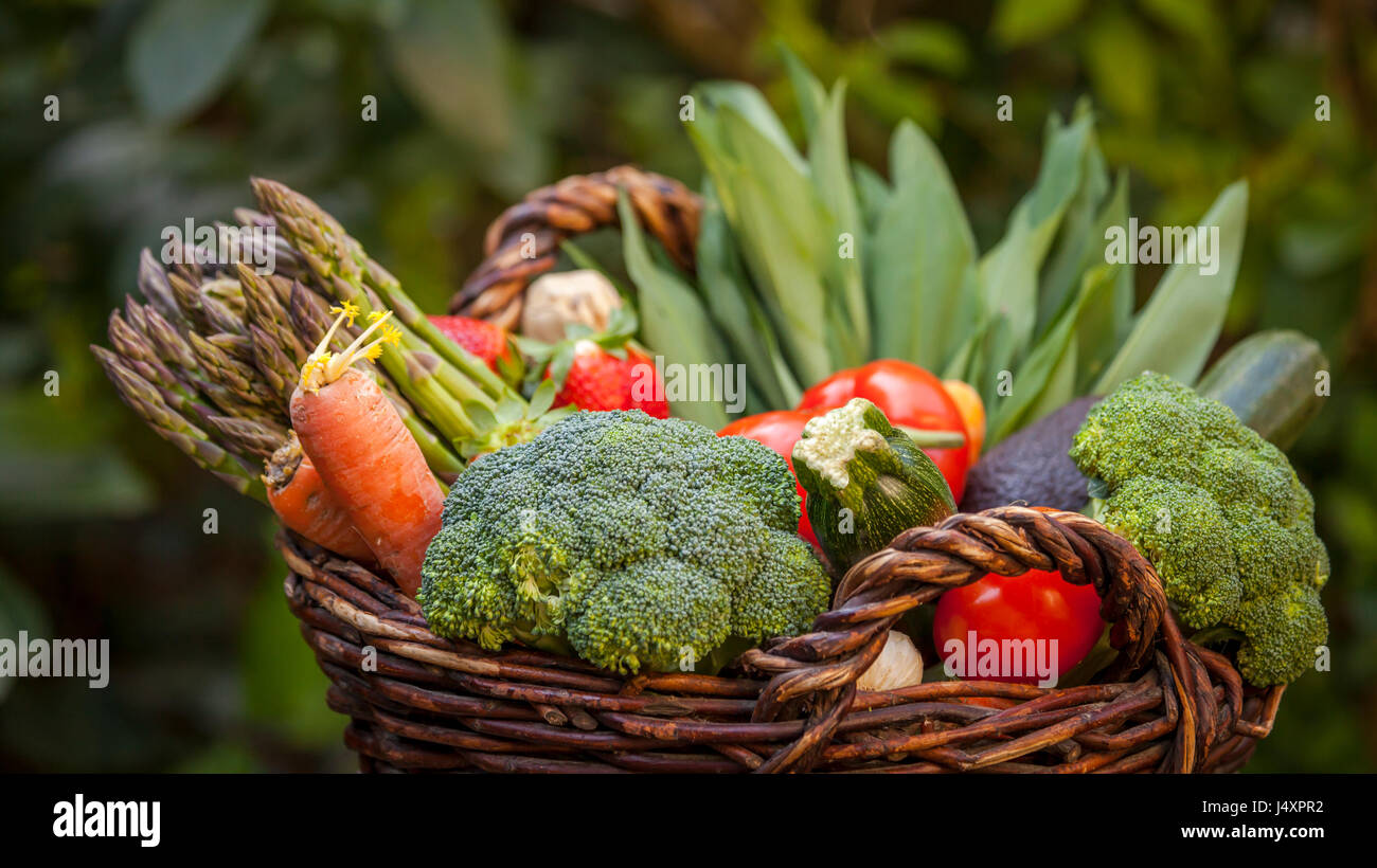 Mezcla de verduras frescas bañadas en el fondo del jardín Foto de stock
