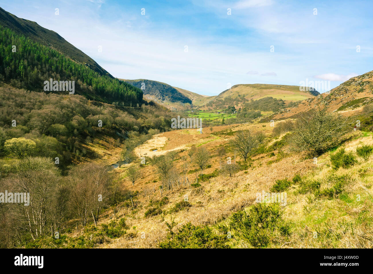 Gilfach reserva natural en las montañas Cambrian Radnorshire Gales UK Foto de stock