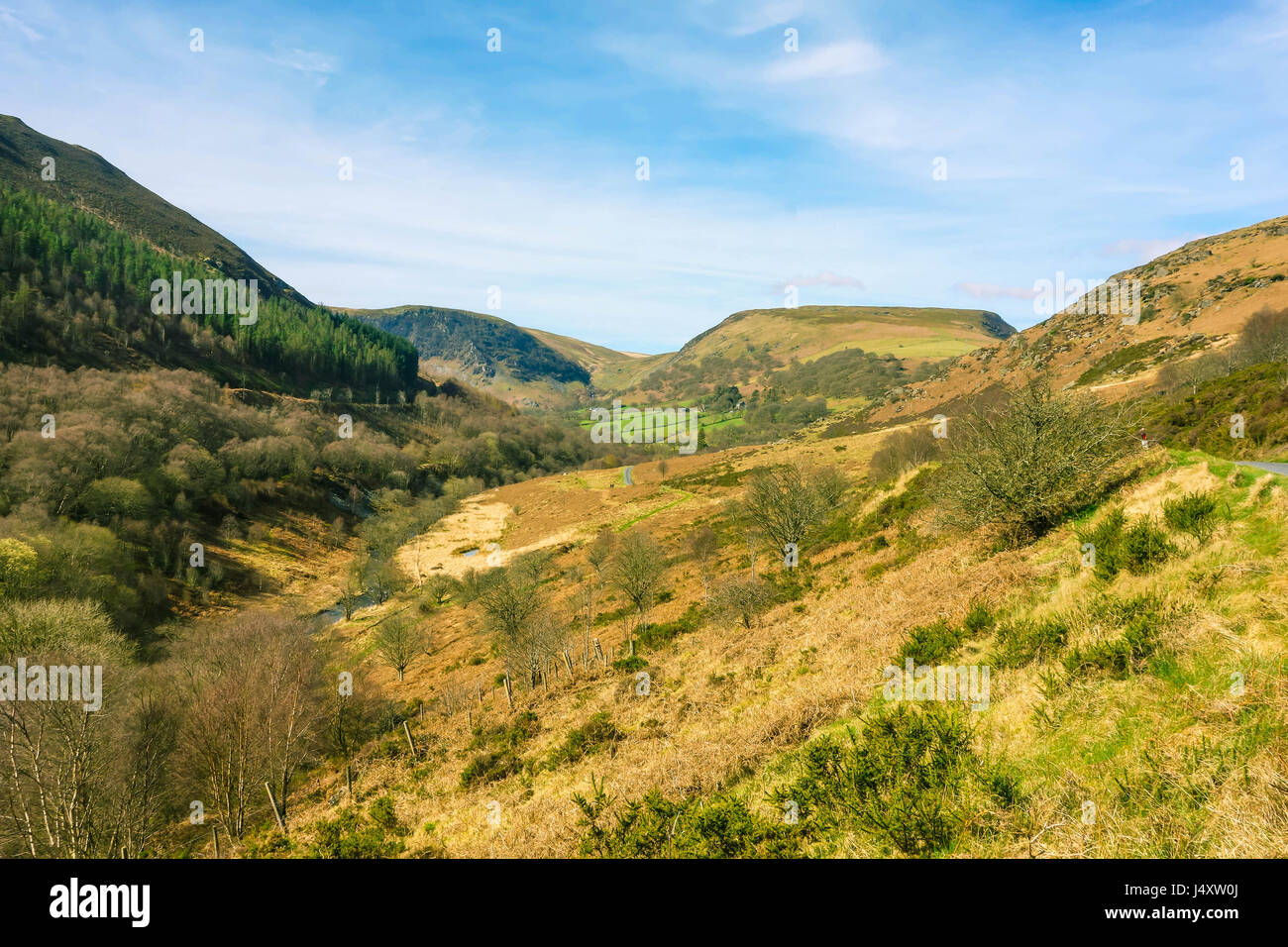 Gilfach reserva natural en las montañas Cambrian Radnorshire Gales UK Foto de stock