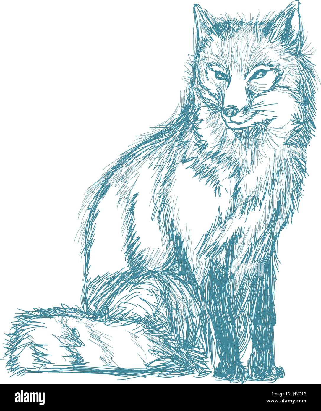 Lobo wildlife animal imagen es dibujada a mano. lápiz azul boceto de lobo  Imagen Vector de stock - Alamy