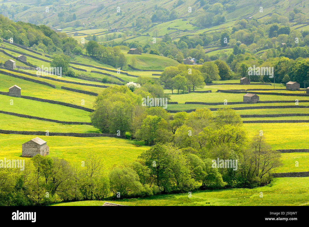 Yorkshire Dales graneros y sistema field en Thwaite village en swaledale UK Foto de stock