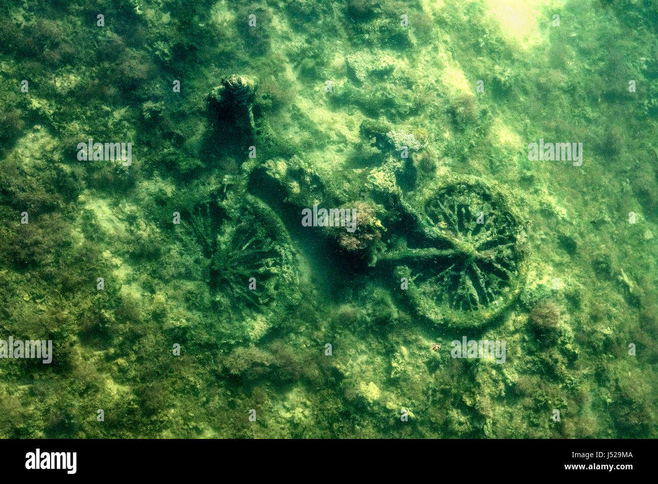 Una bicicleta que ha sido arrojado a un río local y poco a poco está siendo cubiertos por algas y plantas submarinas la vida así como perjudiciales para el medio ambiente Foto de stock