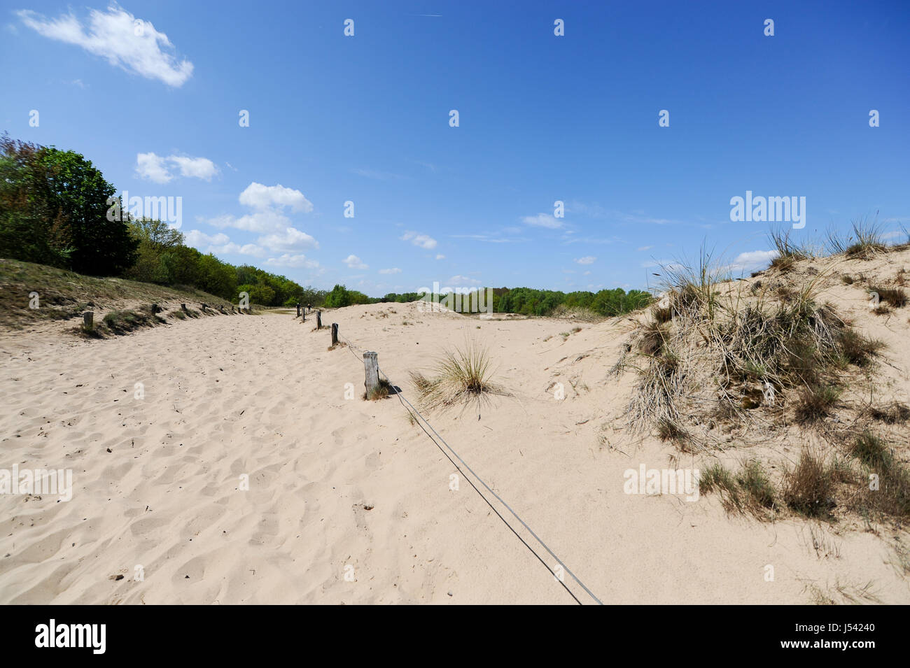 El paisaje de las dunas, o Boberger Boberger Duenen, en el sur oeste de Hamburgo, Alemania. Foto de stock