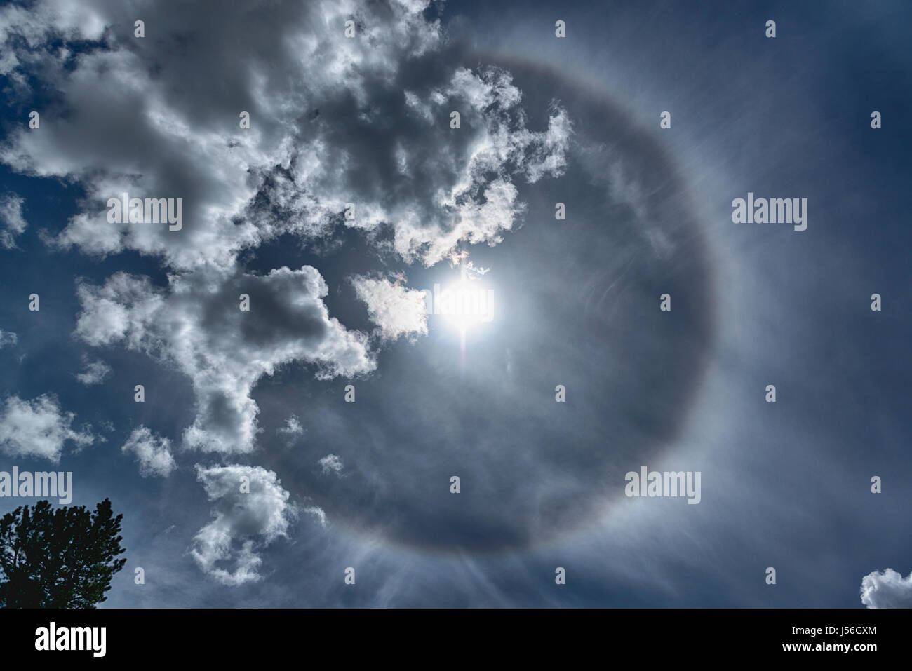 Parhelion en la primavera de cielo con nubes y árbol visto desde la pequeña aldea de Gressoney Saint Jean, en el Valle de Aosta, Italia Foto de stock