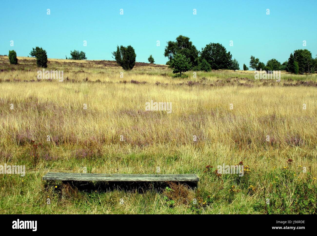 Invitación a quedarse Foto de stock