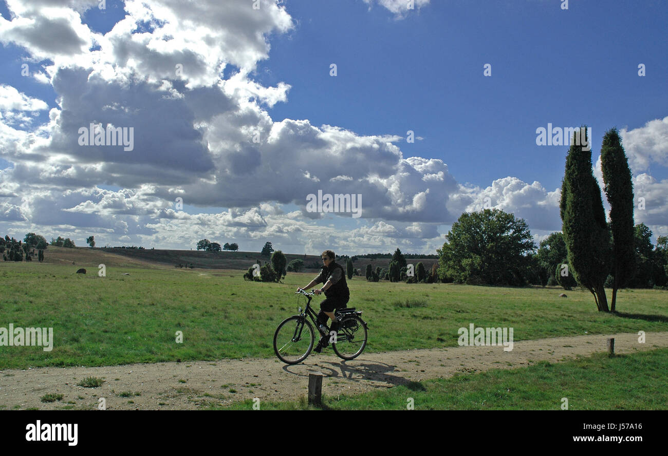 En bicicleta a través de los brezos Foto de stock