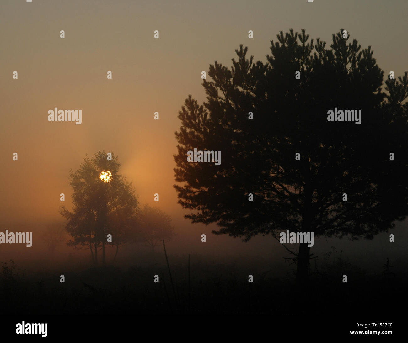 Velo de bruma fotografías e imágenes de alta resolución - Alamy