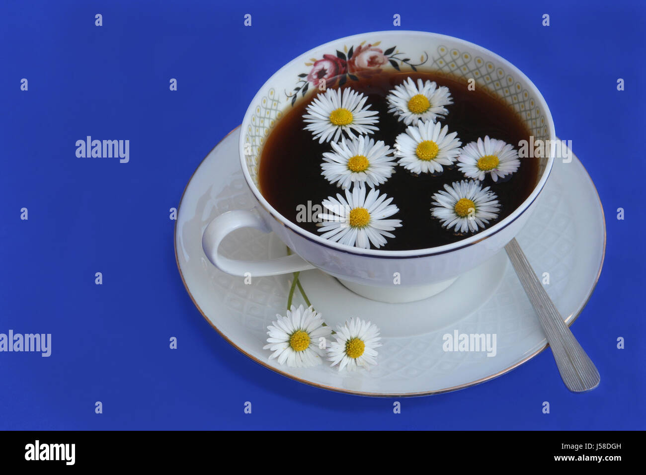 Floretes de taza de café café puro daisy sinónimo cuchara de café frase  emblemática Fotografía de stock - Alamy