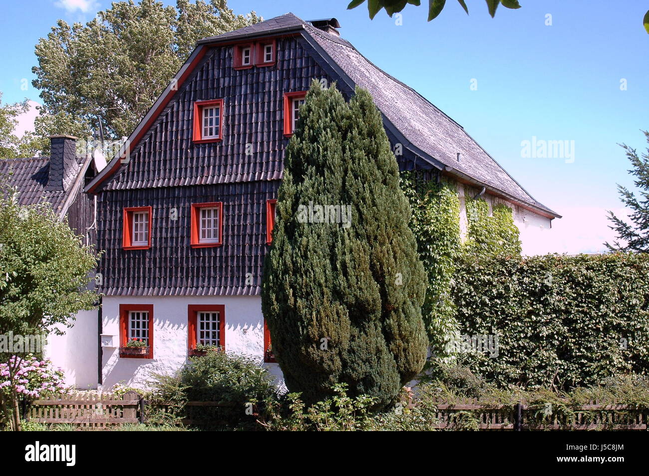 Edificio de la casa de árbol arbusto valla disimulada cobertura buzón pizarra mosaico nostálgico Foto de stock