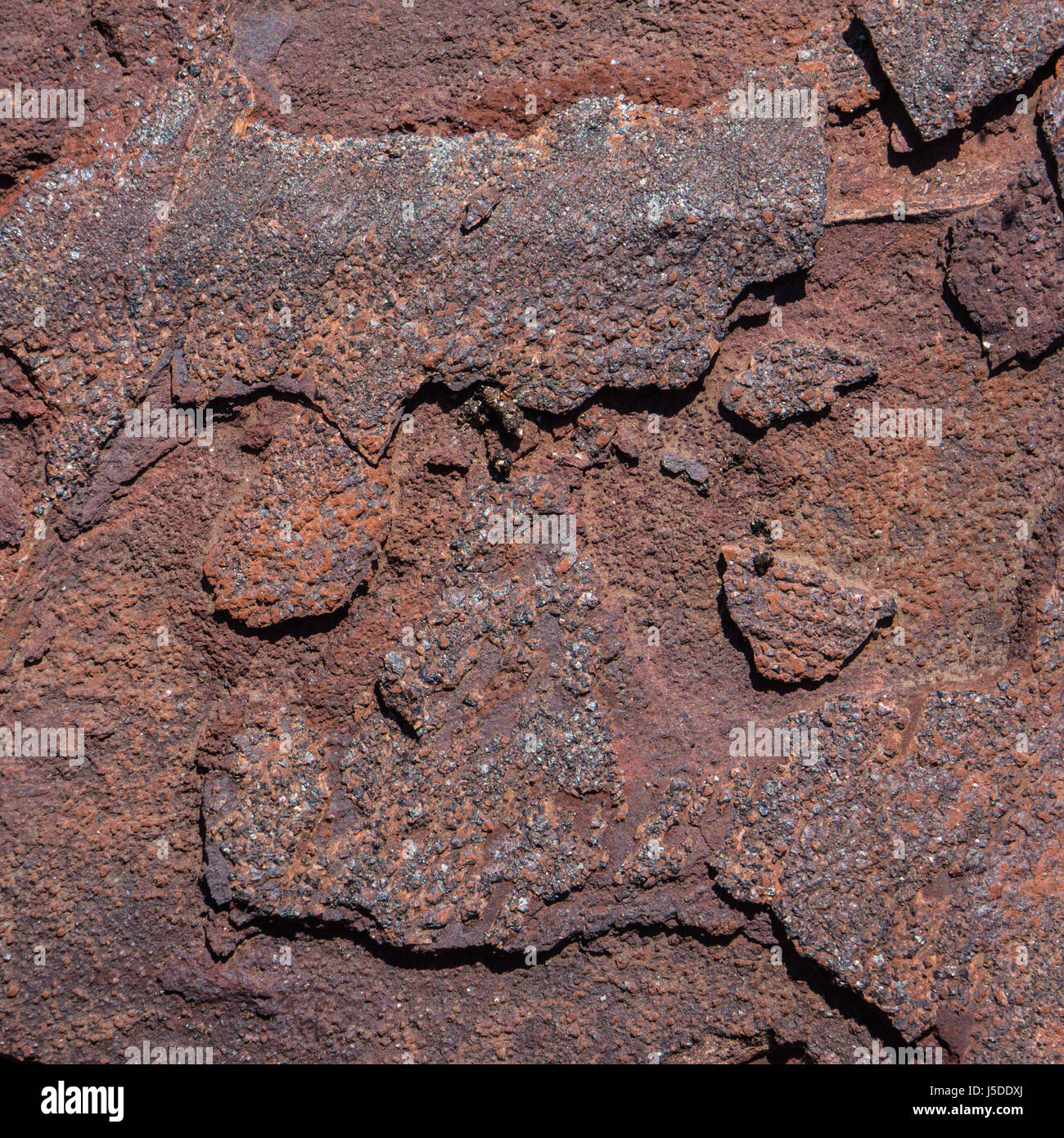 Espécimen de hematita natural común es una forma mineral de óxido de hierro  Fotografía de stock - Alamy