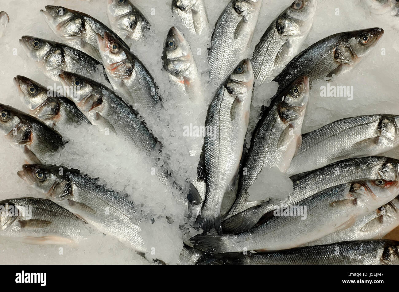 Pescado en hielo, supermercado mostrar (Cerdeña, Italia) Foto de stock