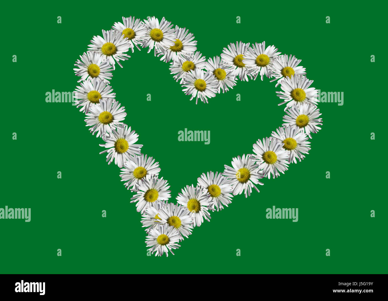 Planta de flores flores románticas verde nostalgia en blanco caucásico europeo la pascua Foto de stock