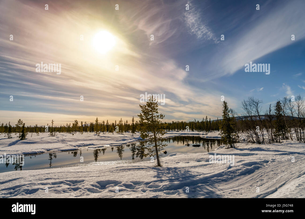 Paisaje invernal, Laponia, Suecia Foto de stock