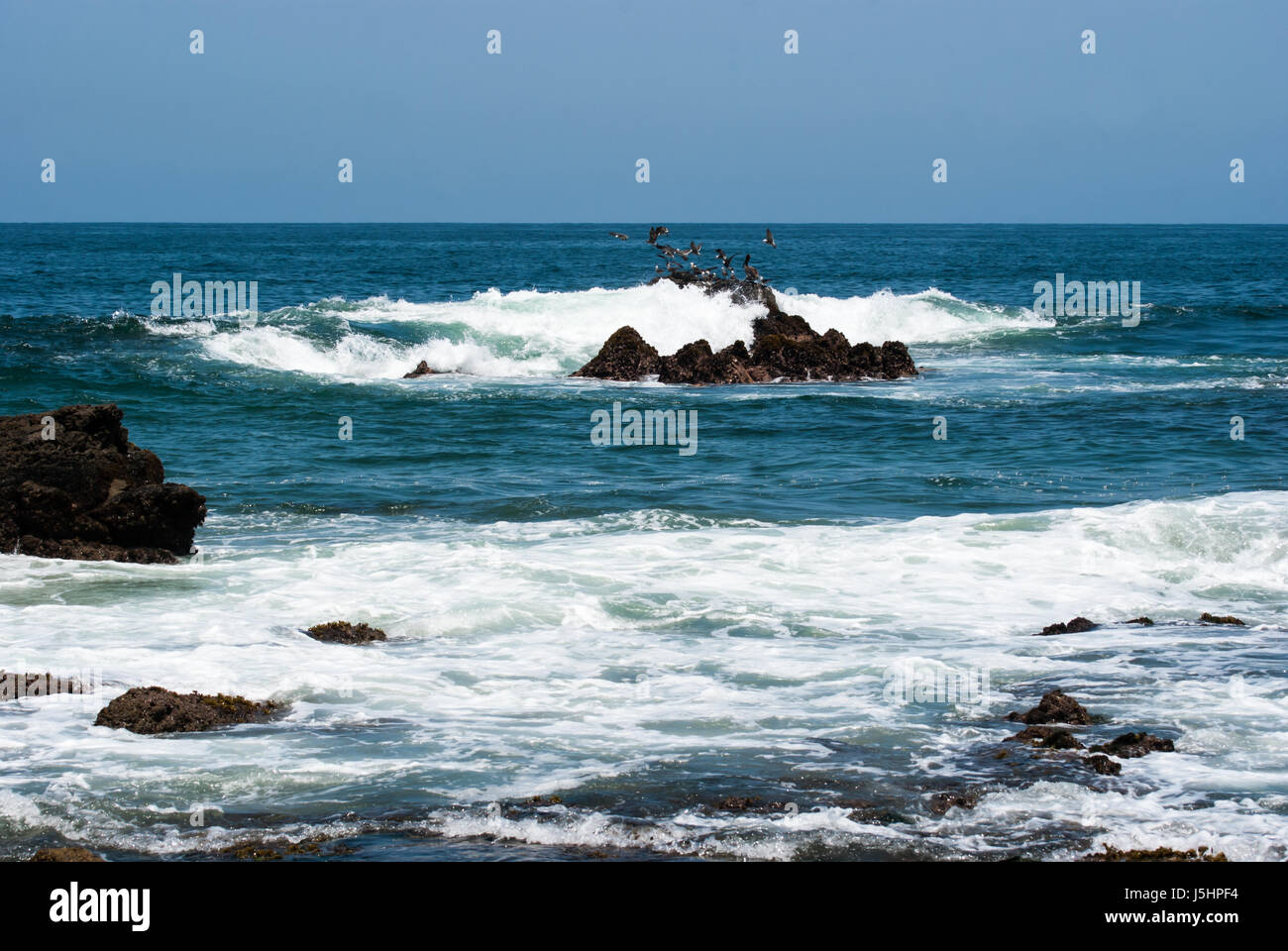 Costa escarpada. Un robusto getting off shore de roca azotada por las olas haciendo que los pájaros vuelan. Foto de stock