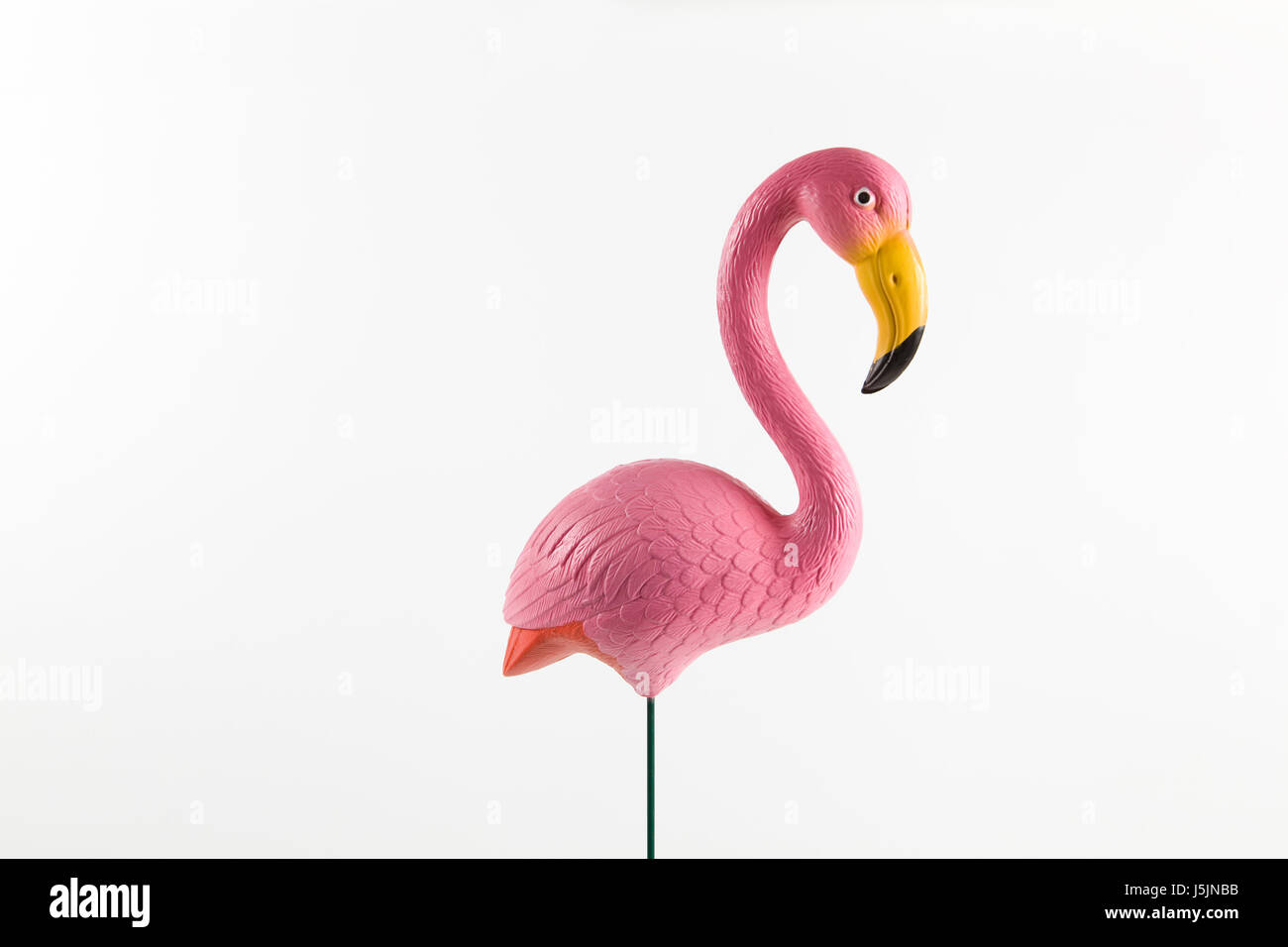 Un flamenco de plástico rosa en un fondo de color rosa y los tonos en  degradado. tonos Fotografía de stock - Alamy