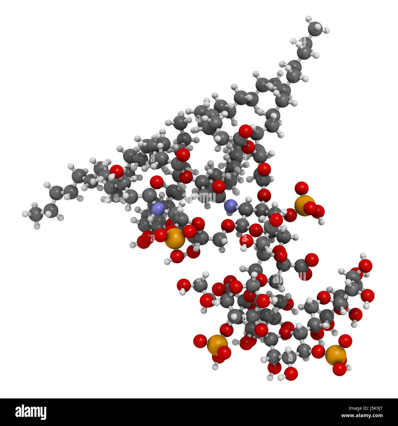 El lipopolisacárido (LPS, lípidos y un núcleo interior fragmento) molécula  de endotoxina de E. coli. Representación 3D basado en el banco de datos de  proteínas de entrada 3FXI Fotografía de stock -