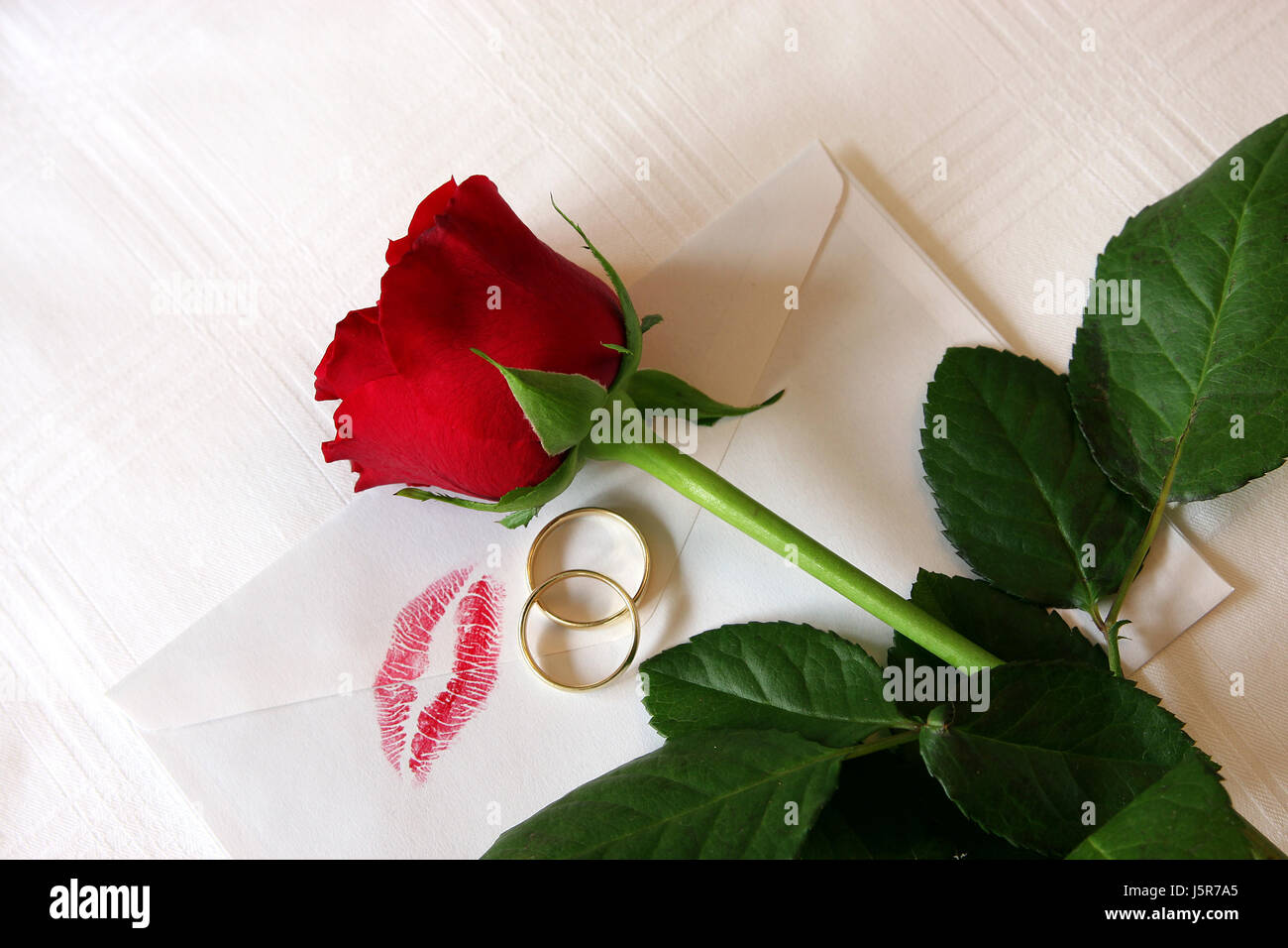 Sentimiento de anillo flor rosa planta detalle admisión Labios Rosas San  Valentín Fin hojas Fotografía de stock - Alamy