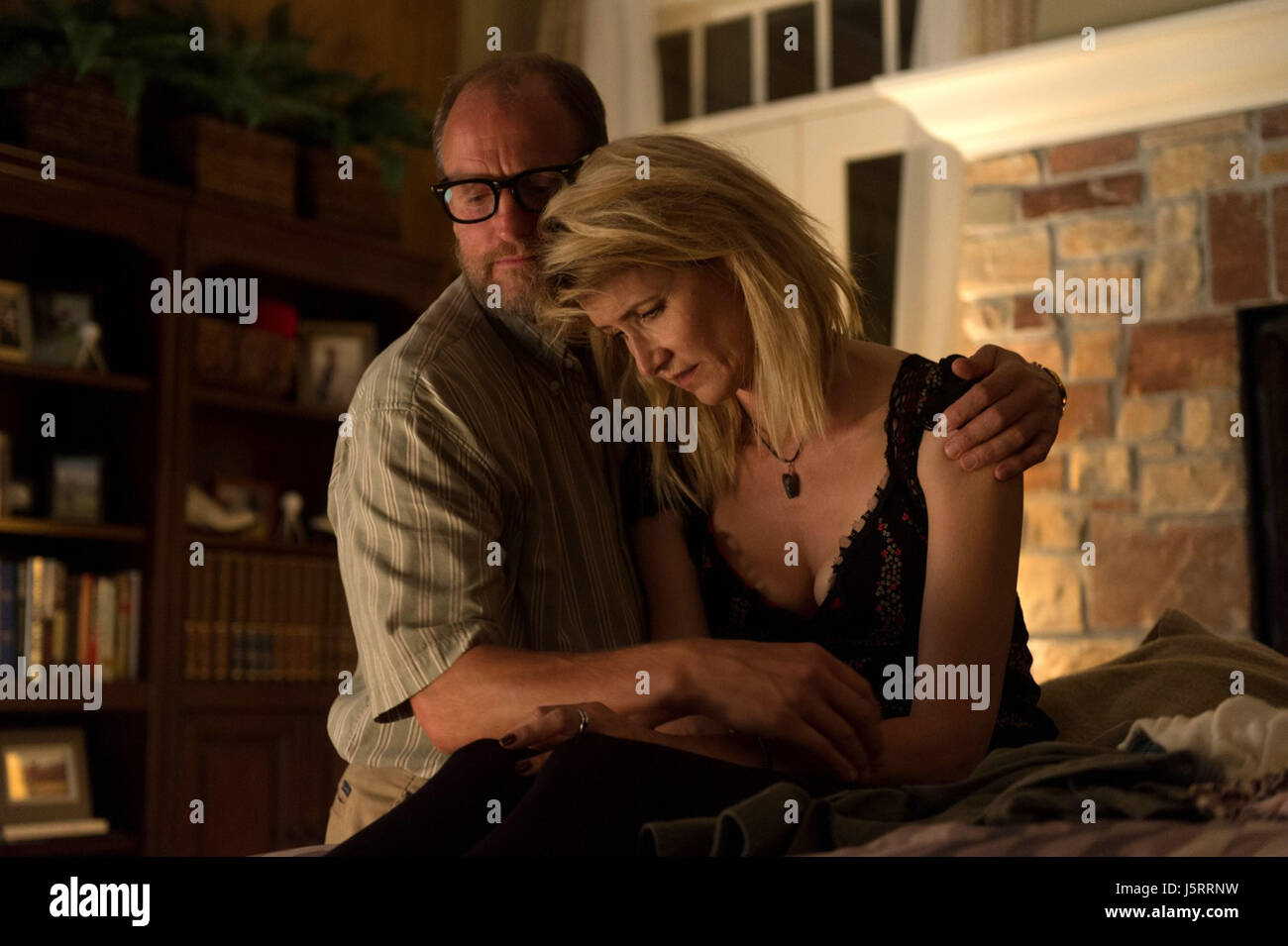 WILSON (2017) Woody Harrelson Laura Dern CRAIG JOHNSON (DIR), Fox Searchlight Pictures/Colección MOVIESTORE LTD Foto de stock