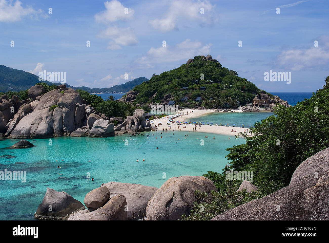 Vacaciones vacaciones vacaciones vacaciones palmas Tailandia caribe mar de agua salada Foto de stock
