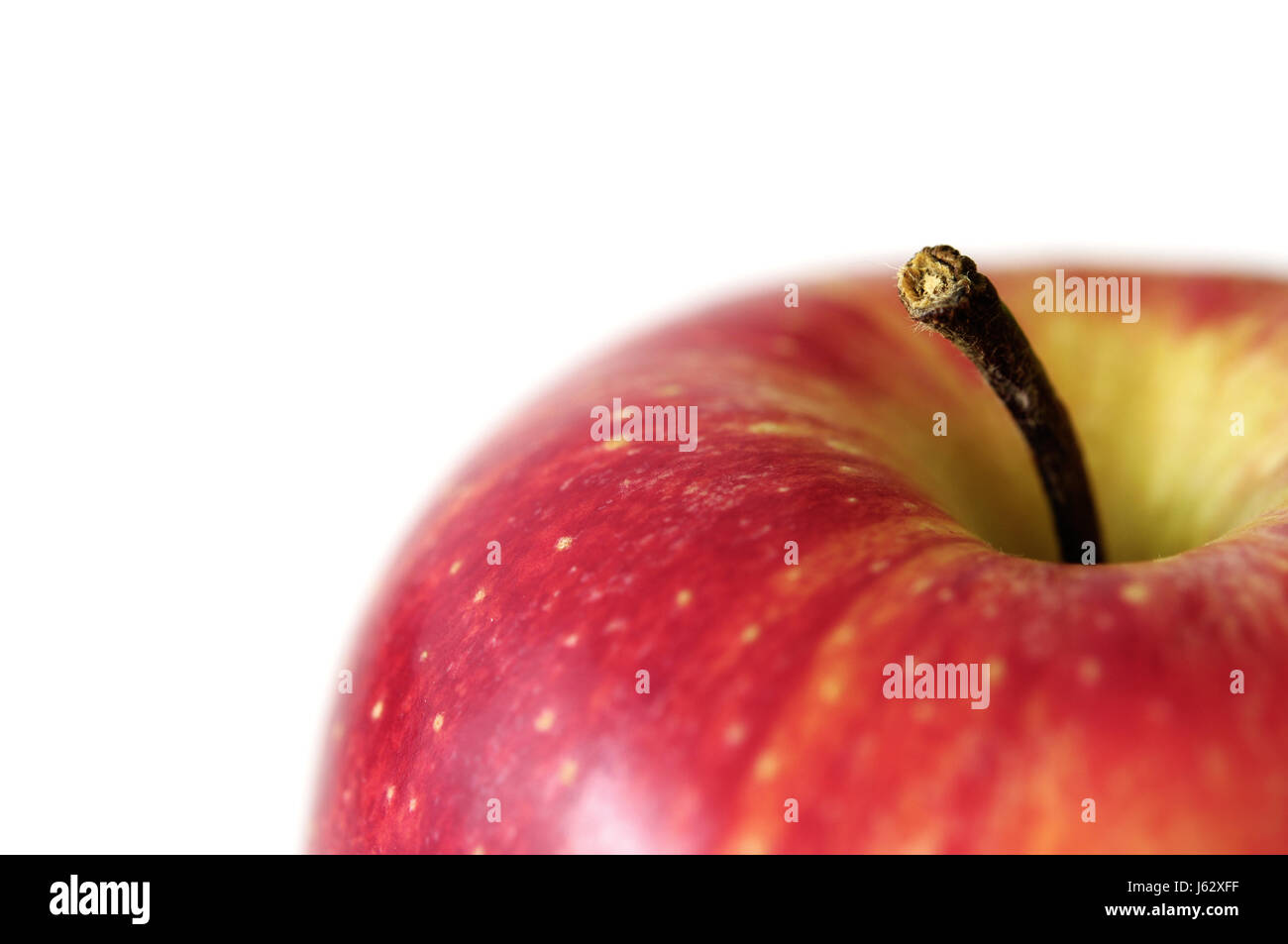 Manzana roja Foto de stock