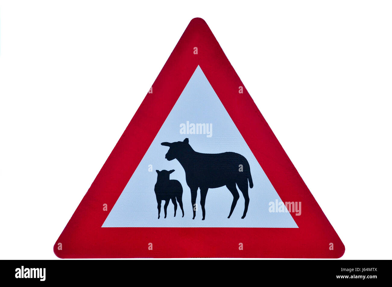 Atención de OVEJAS OVEJAS (pl.) signo ovejas carretera transporte de señal Foto de stock