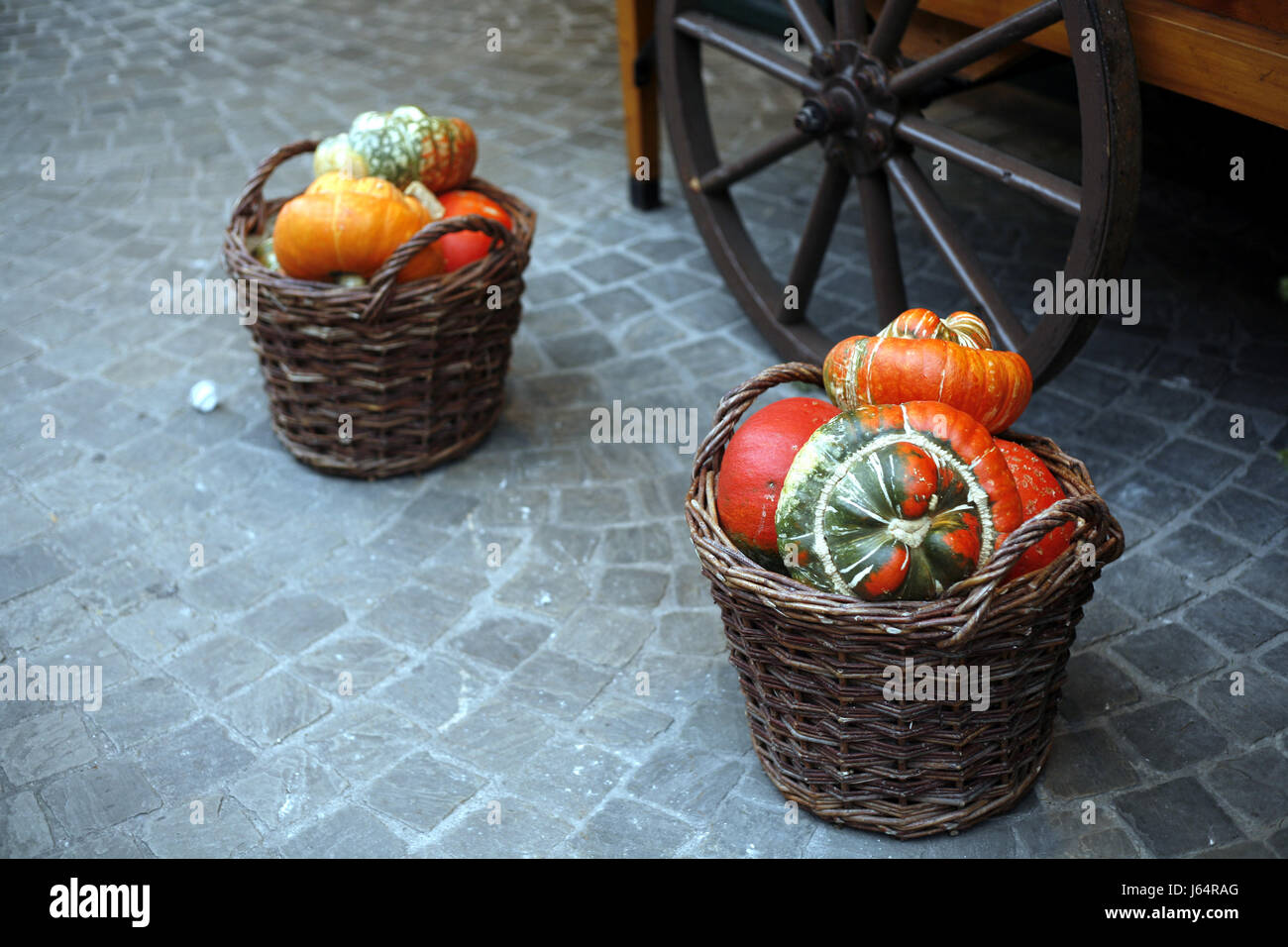 Hermoso colorido de colores múltiples ricamente coloreado cesta cucurbitáceas Foto de stock