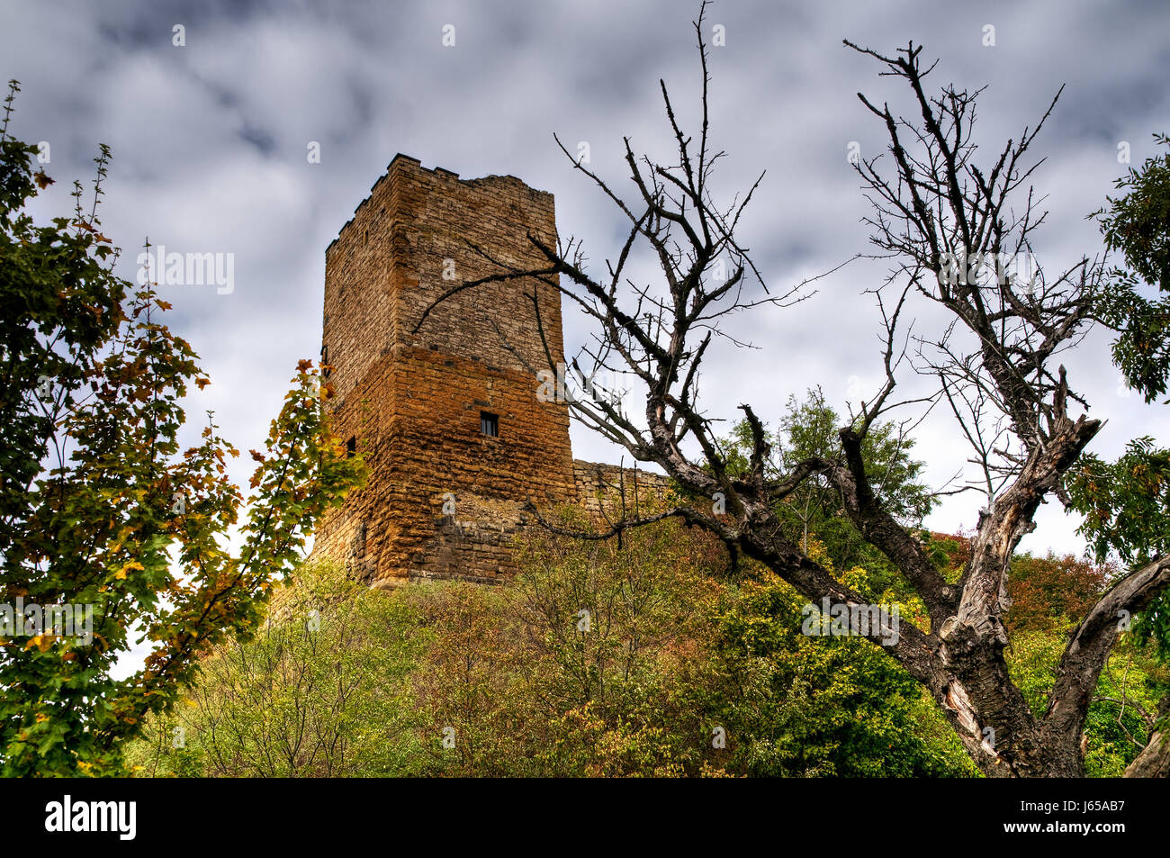 La ruina del castillo chateau de escombros de la edad media ruinas históricas ruinas turingia escombros Foto de stock