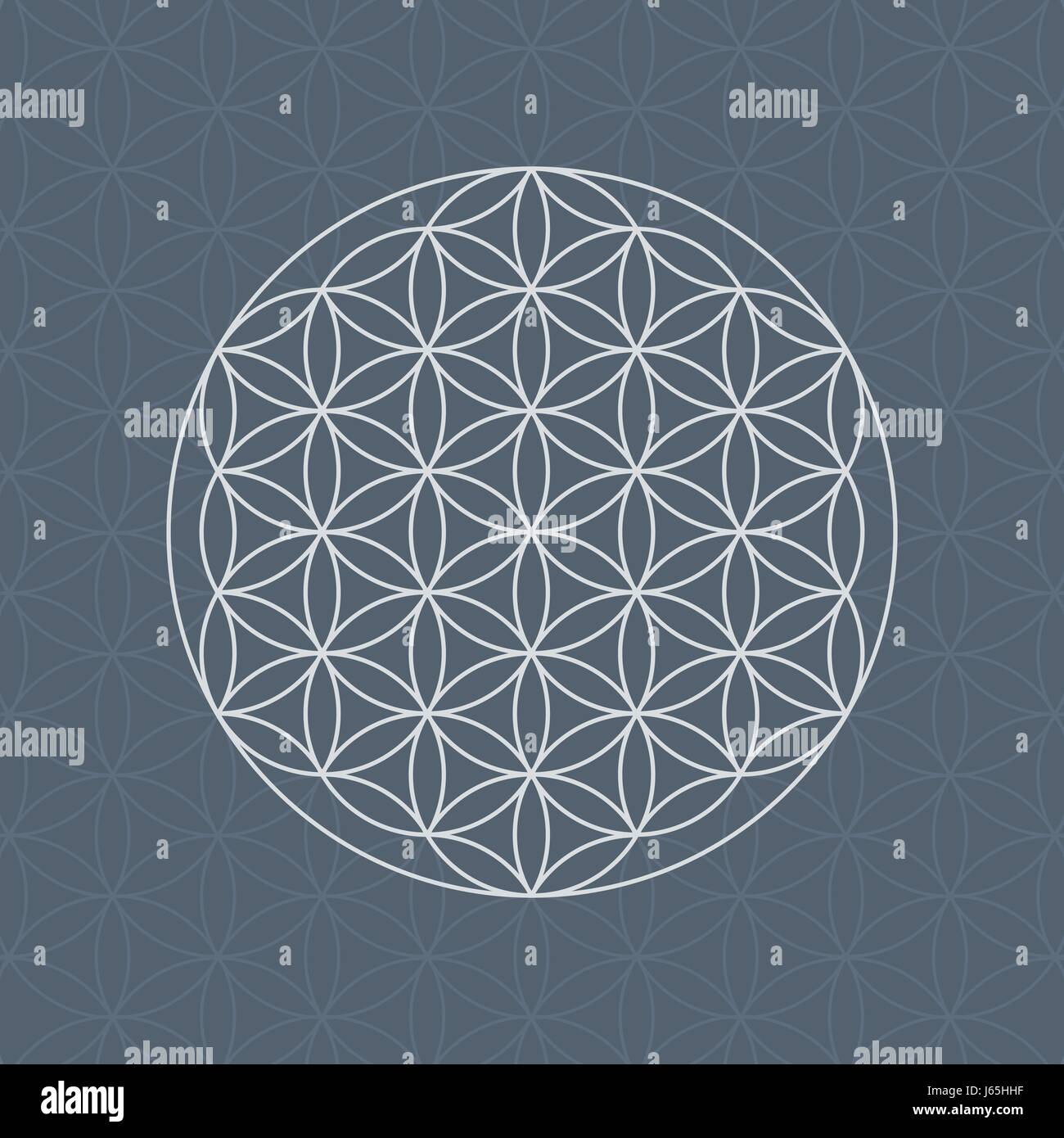 La flor de la vida de la geometría sagrada patrón con círculos superpuestos Ilustración del Vector
