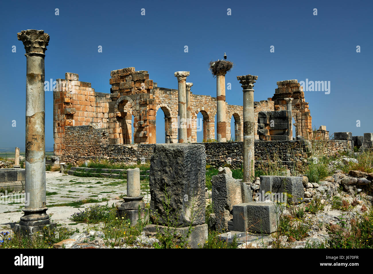 Basílica romana de Volubilis, excavación en Marruecos, África Foto de stock