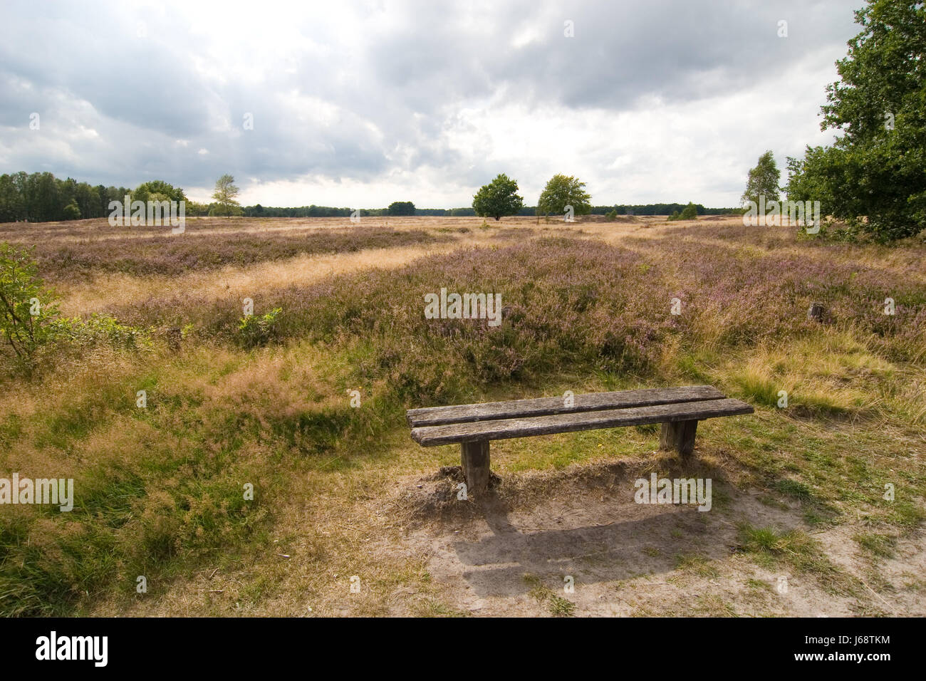 Banco de Heide Foto de stock