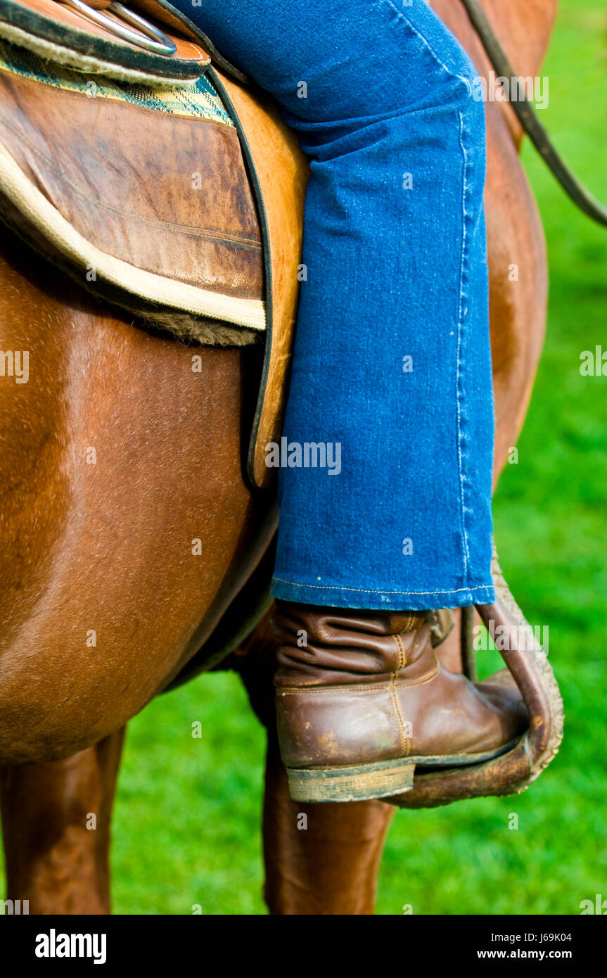 Paseo a caballo pantalones vaqueros pantalones jean farmer rodeo ganadero  americano de viaje Fotografía de stock - Alamy